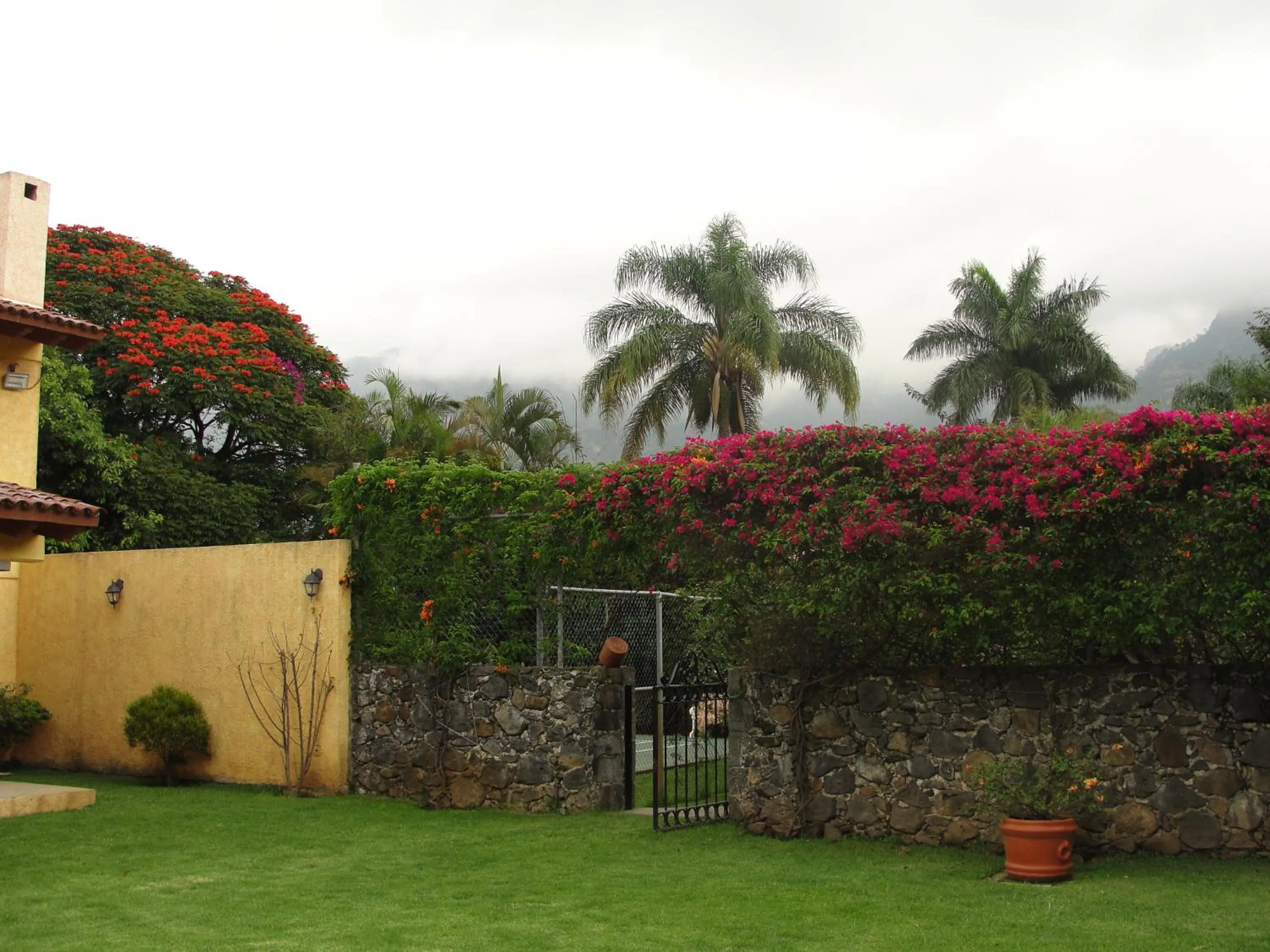 Day in Las Casitas Tepoztlán