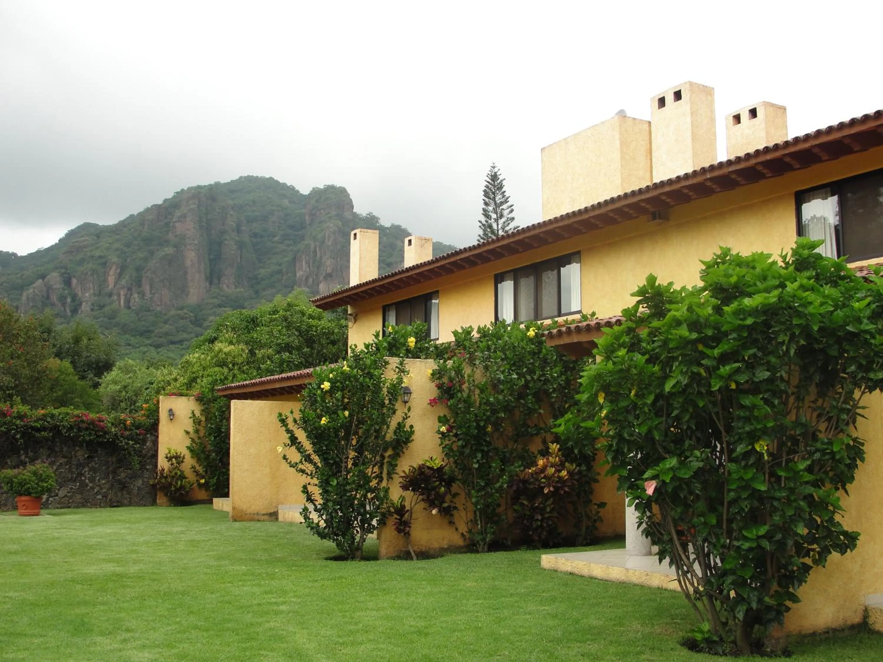 Day in Las Casitas Tepoztlán