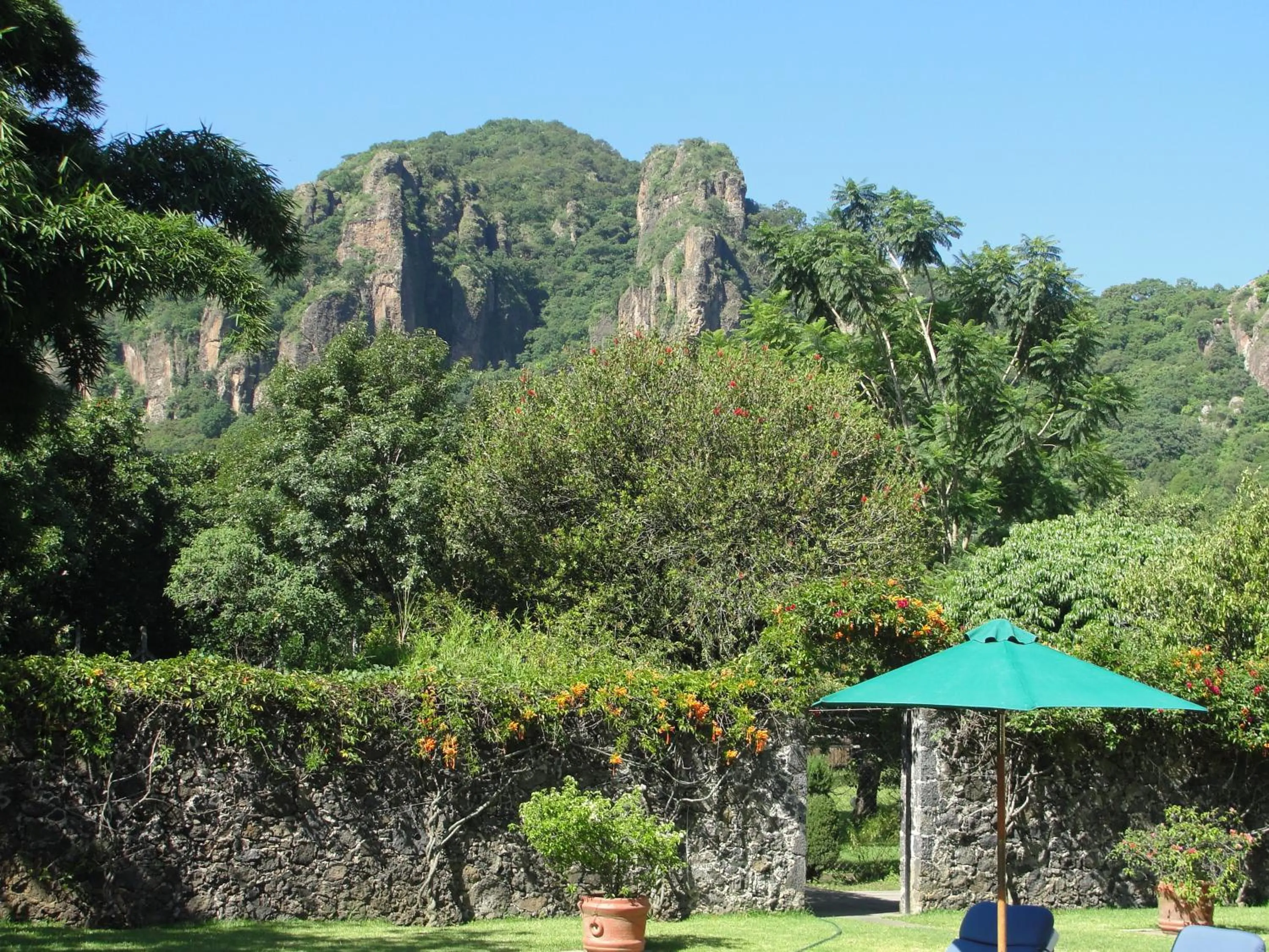 Spring in Las Casitas Tepoztlán