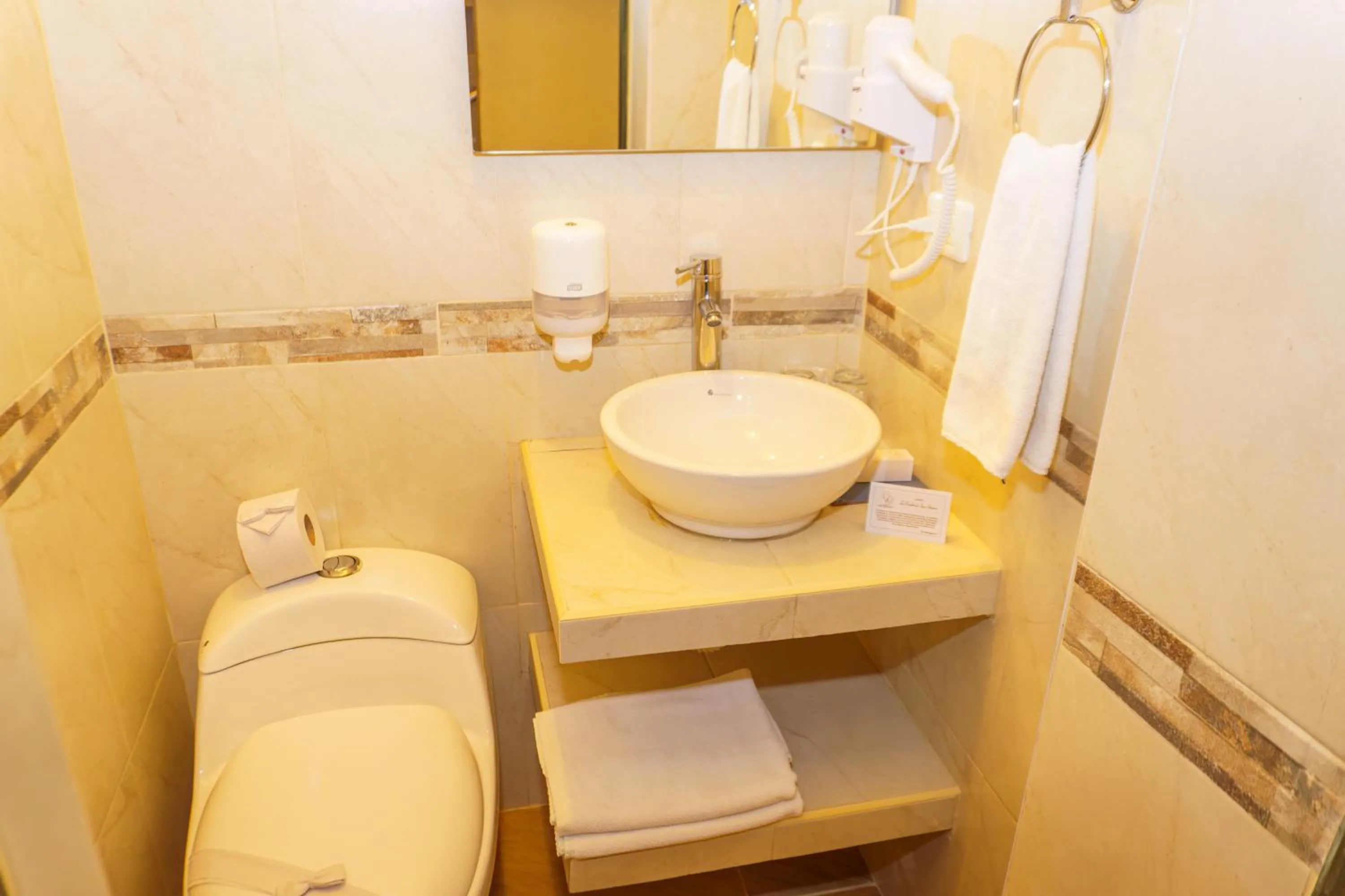 Bathroom in Hotel La Posada de San Antonio