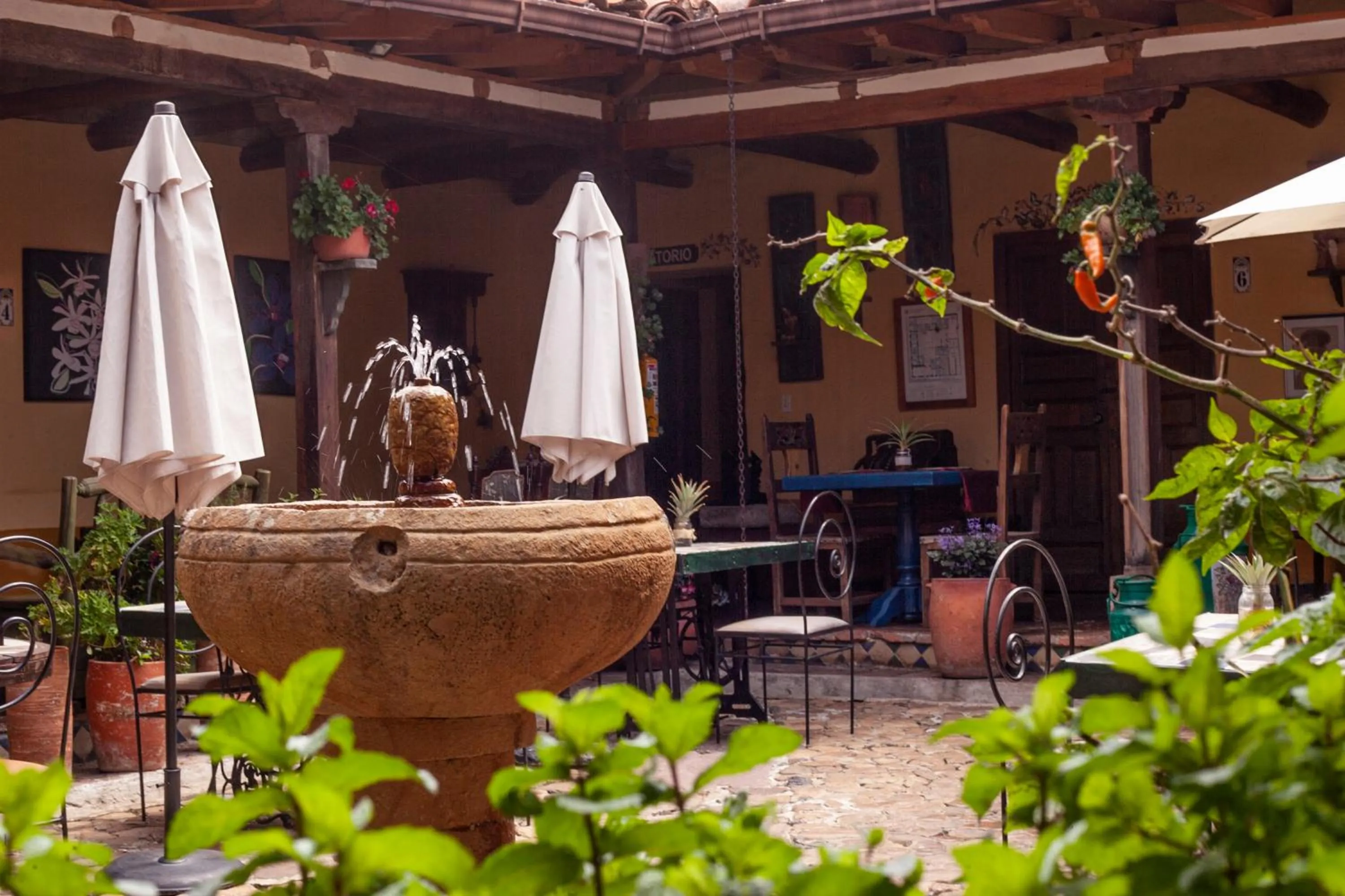 Patio in Hotel La Posada de San Antonio
