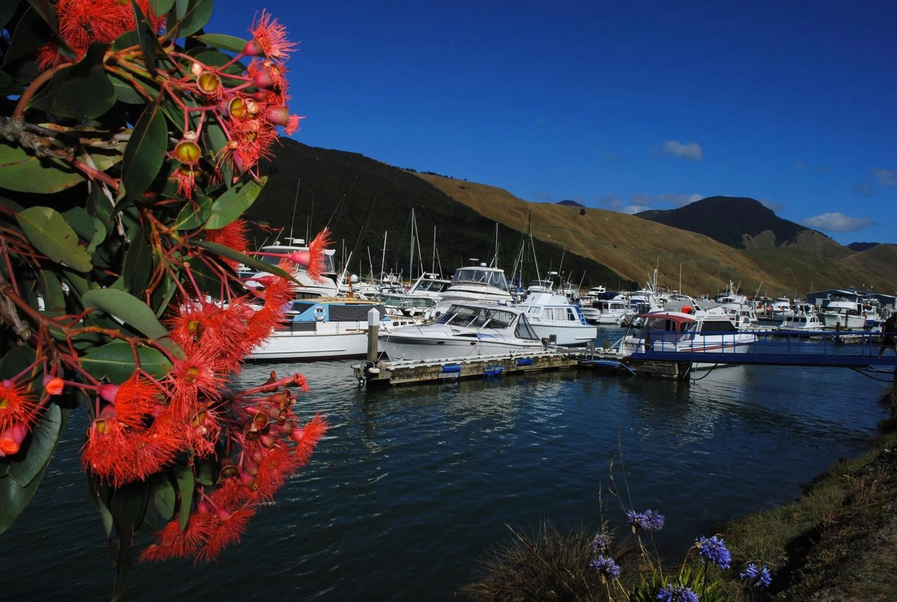 Area and facilities in Blue Moon Lodge