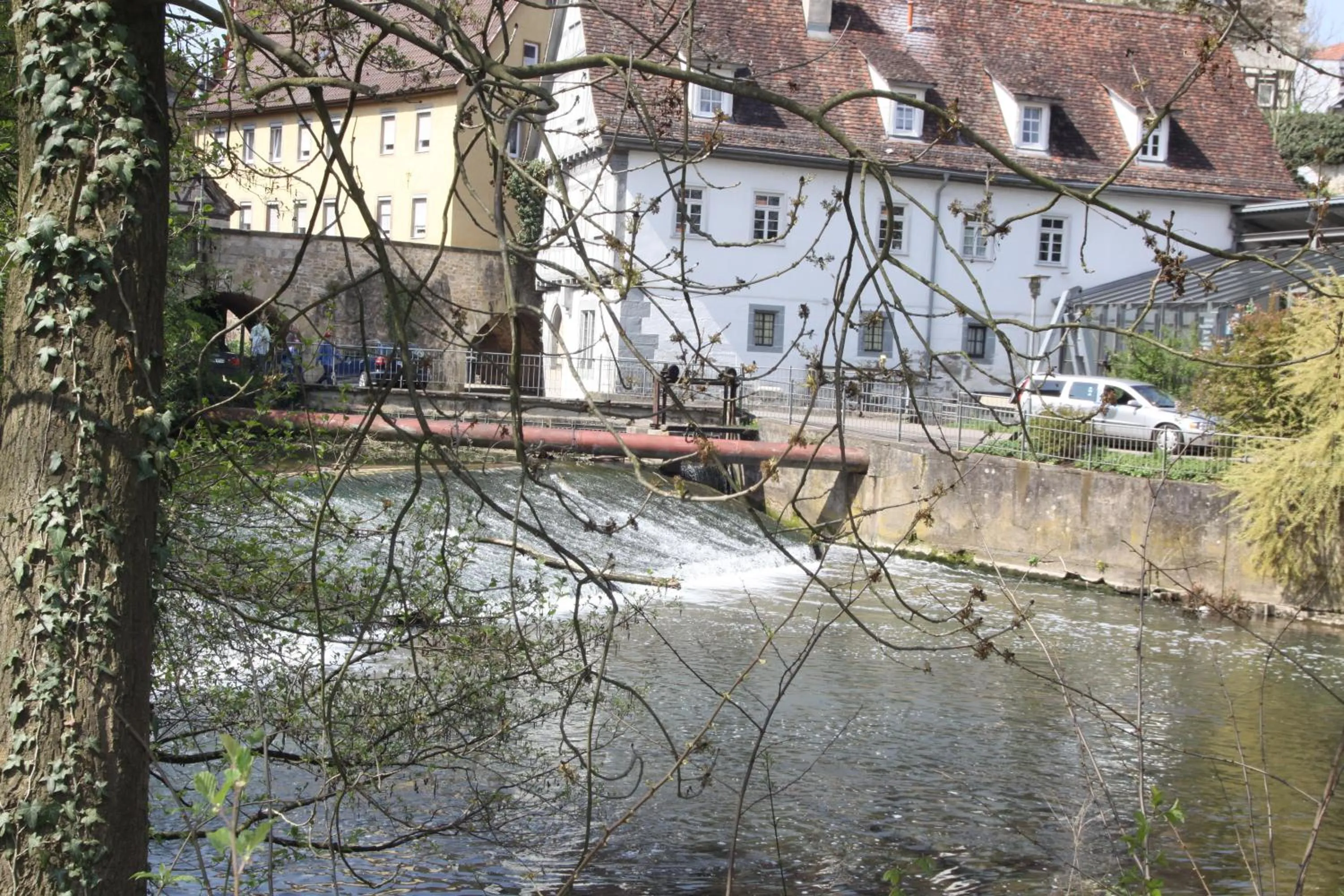 Area and facilities in Hotel Adler