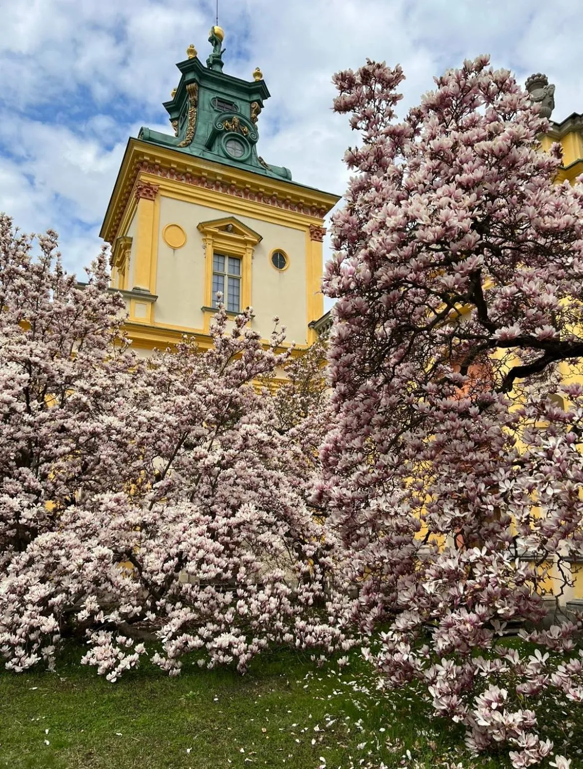 Spring in Centrum Konferencyjno-Apartamentowe Mrówka