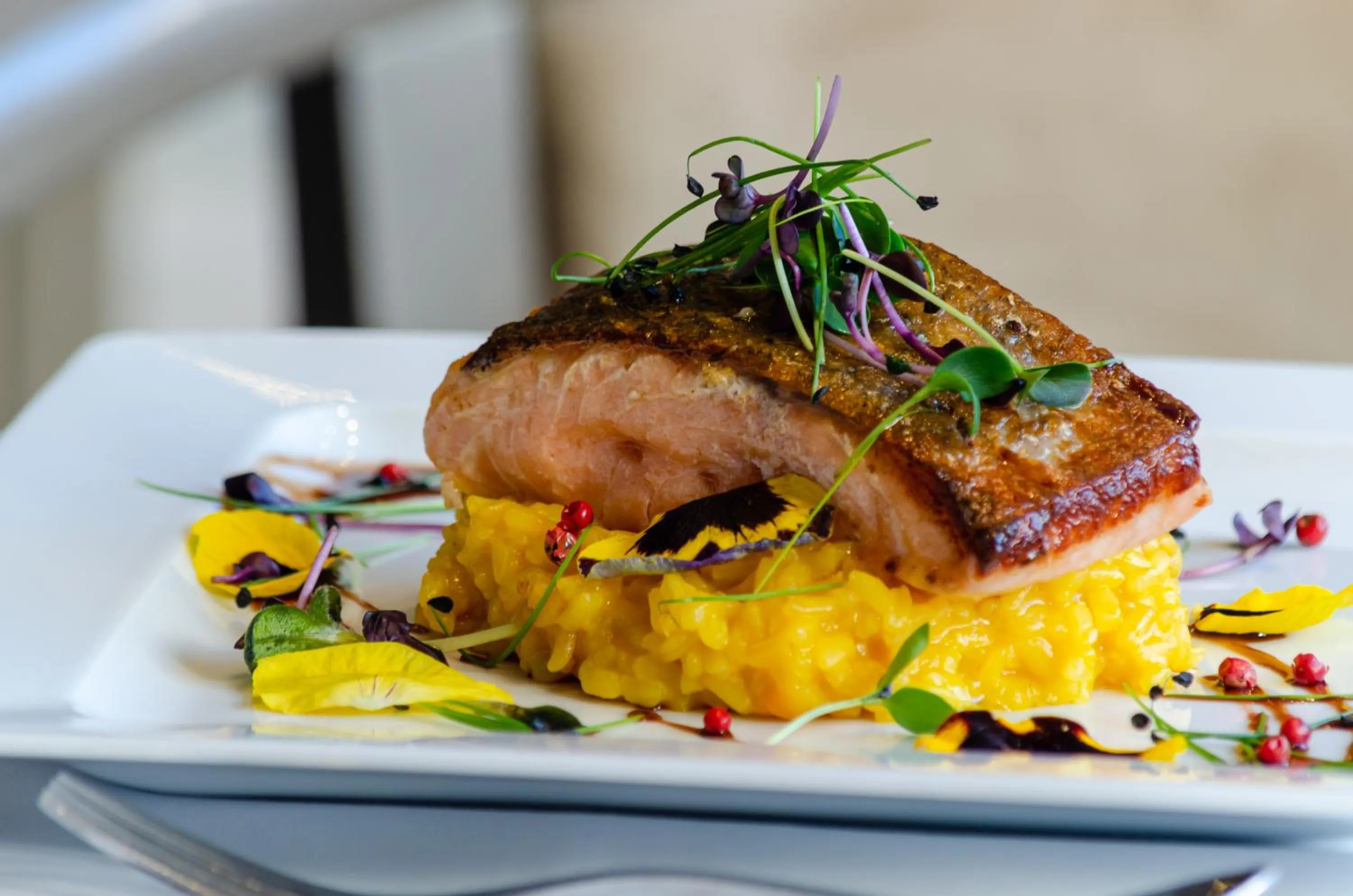 Restaurant/places to eat in Olissippo Marquês de Sá