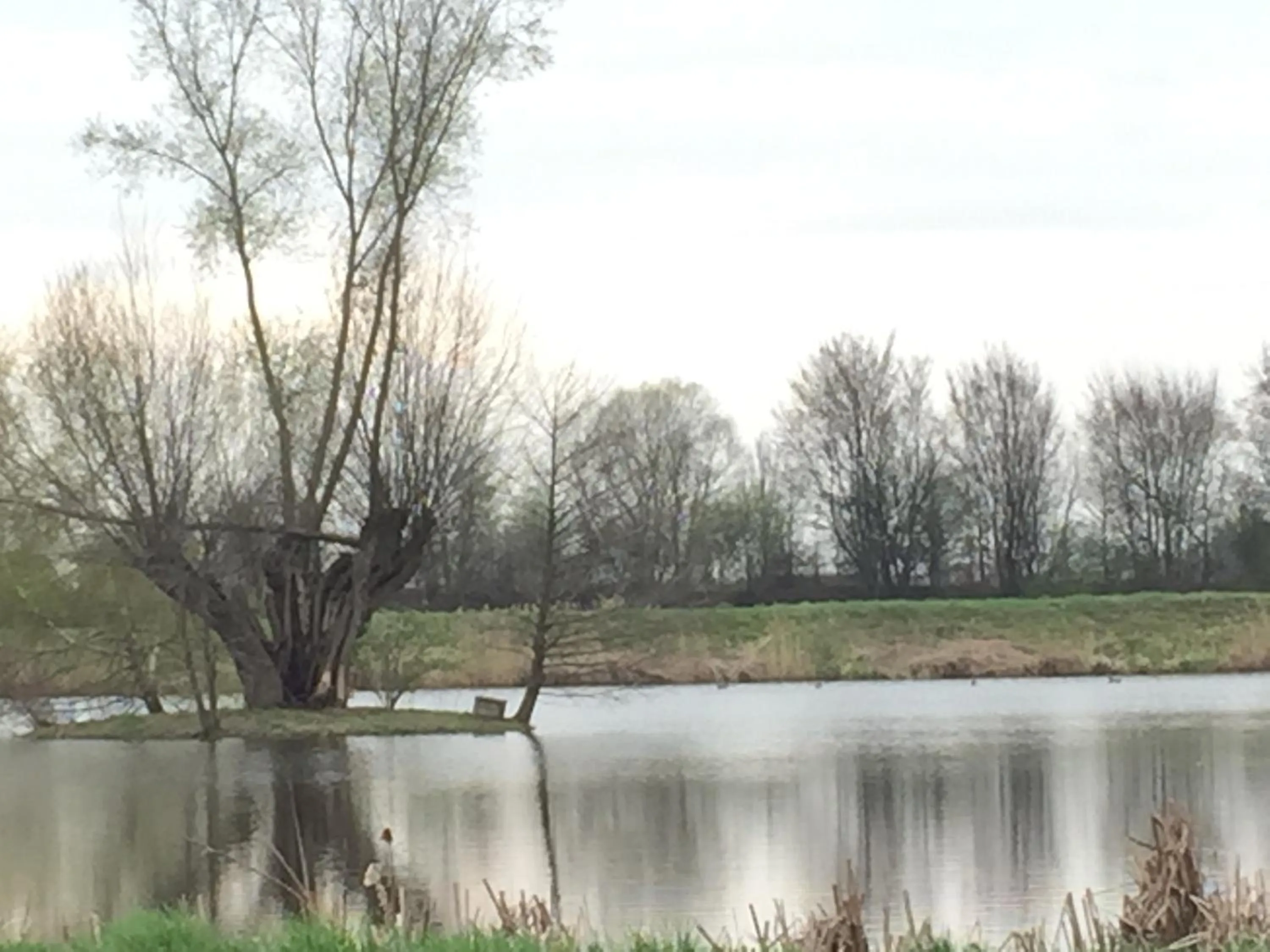 Activities in Zamek Dobra