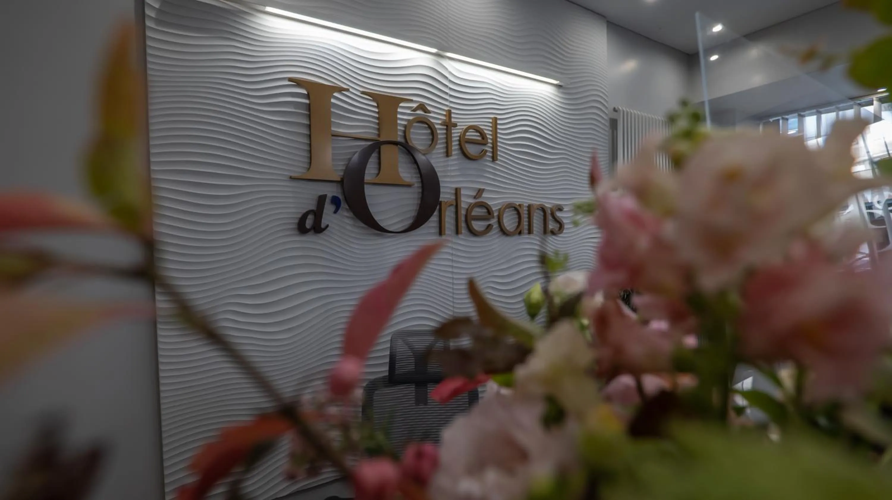 Lobby or reception in Hôtel d'Orléans