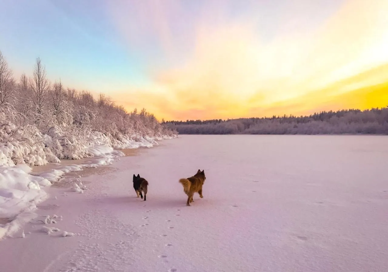 Neighbourhood in Hotelli Sodankylä