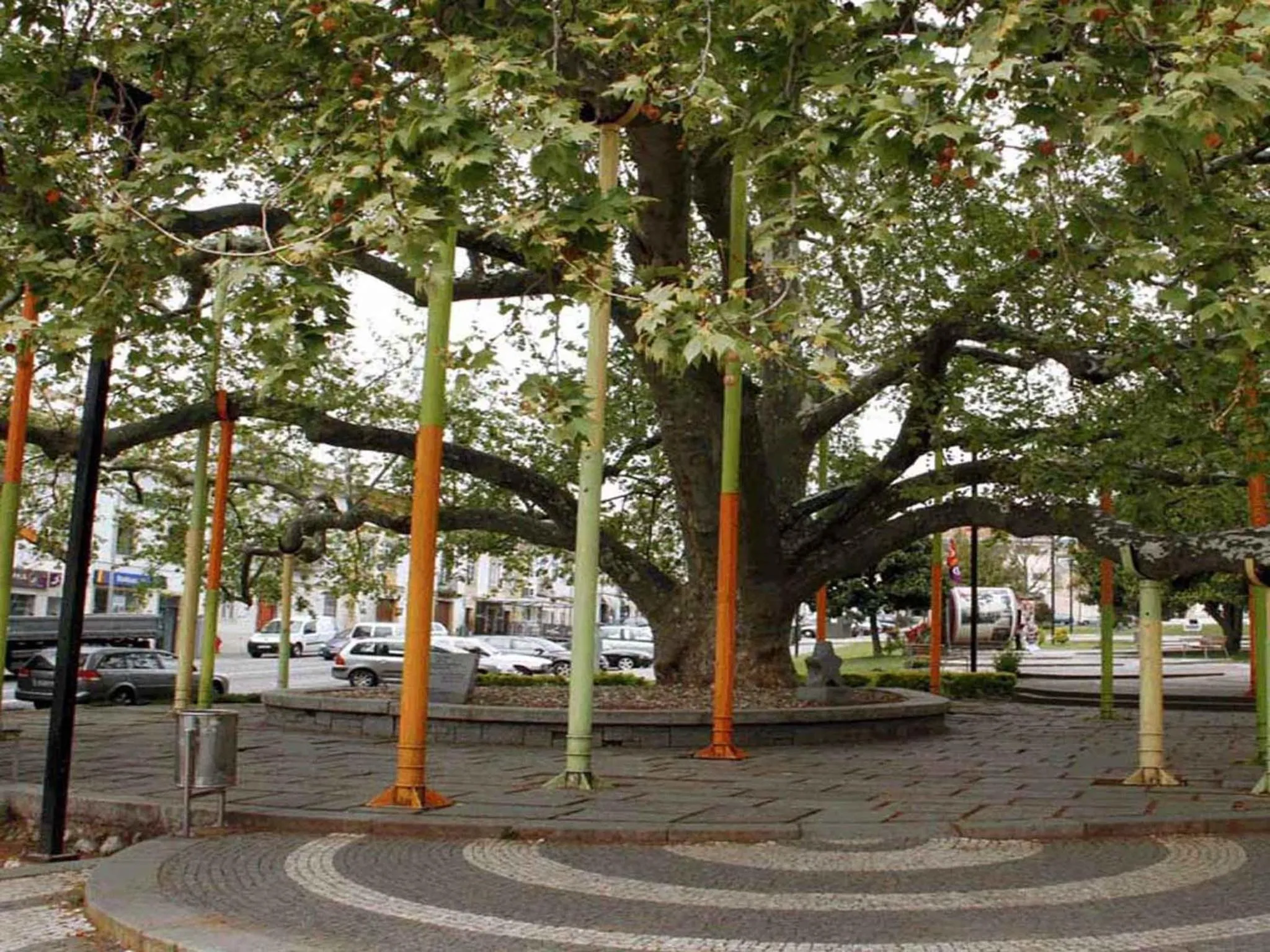 Area and facilities in Rossio Hotel