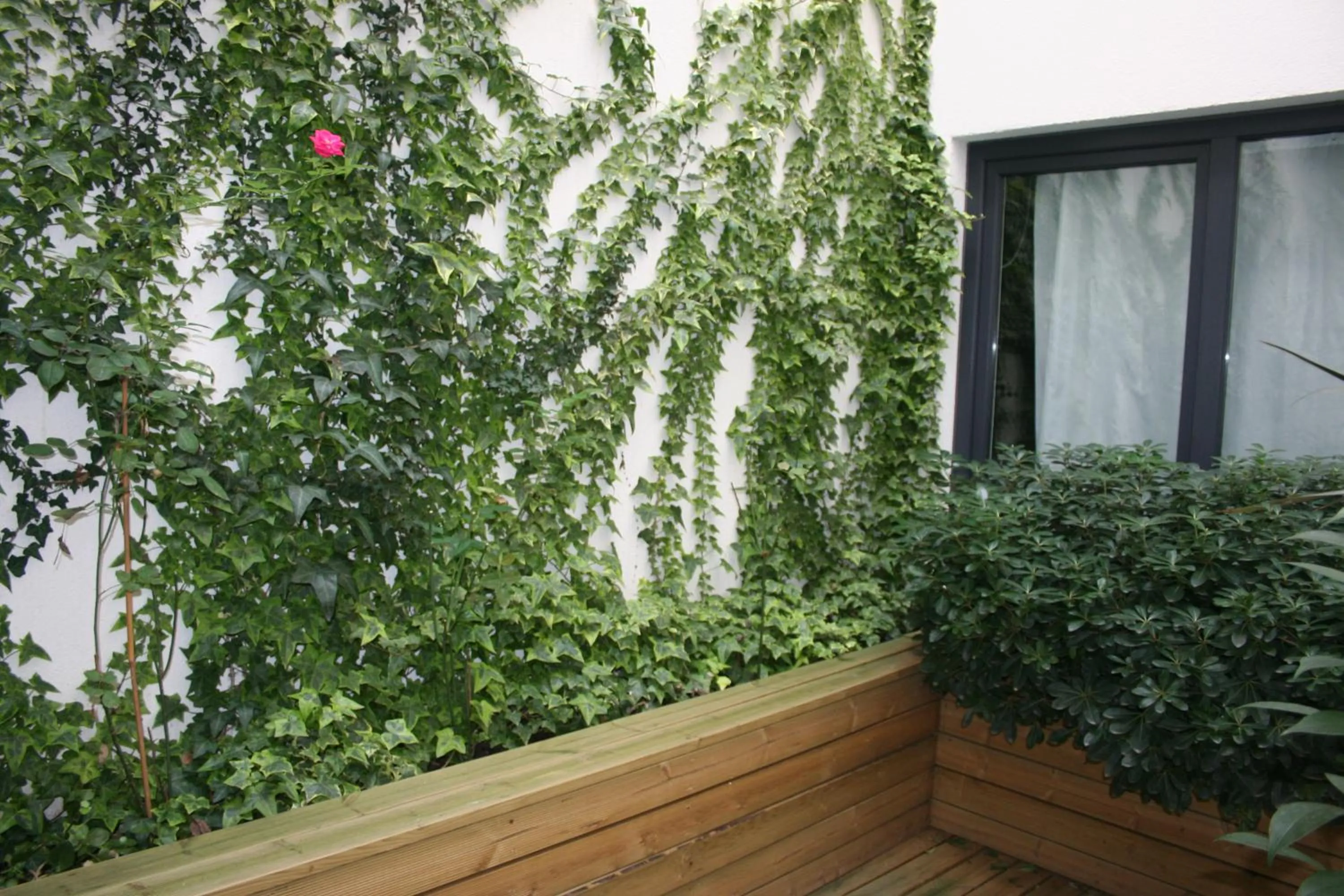 Garden in Rossio Hotel