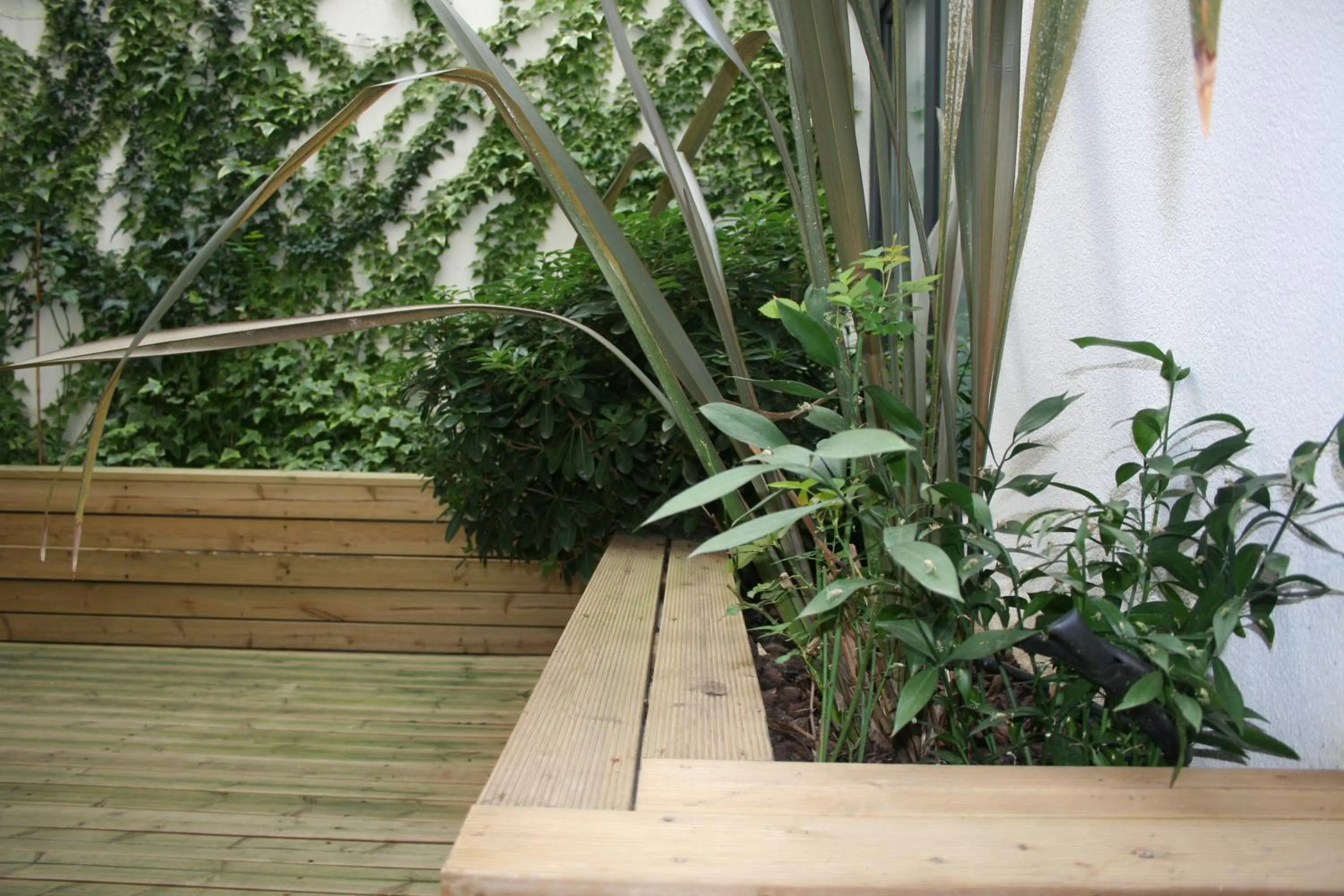 Garden in Rossio Hotel