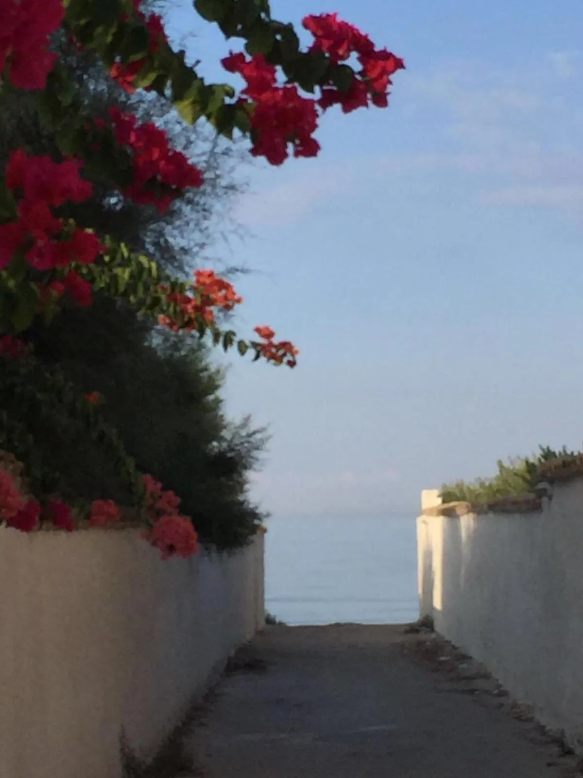 View (from property/room) in SUITEBEACH b&b and resort