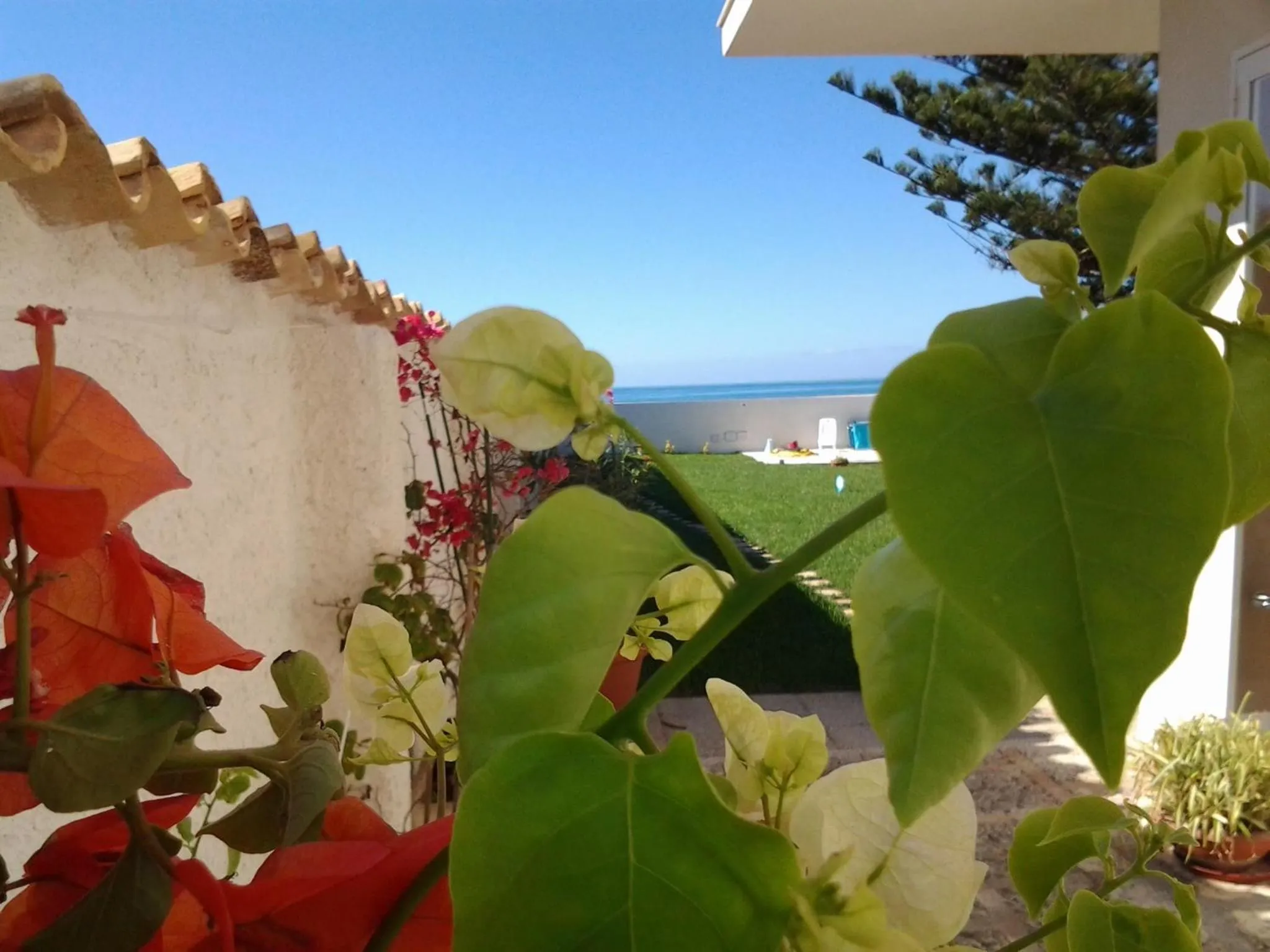 Garden in SUITEBEACH b&b and resort