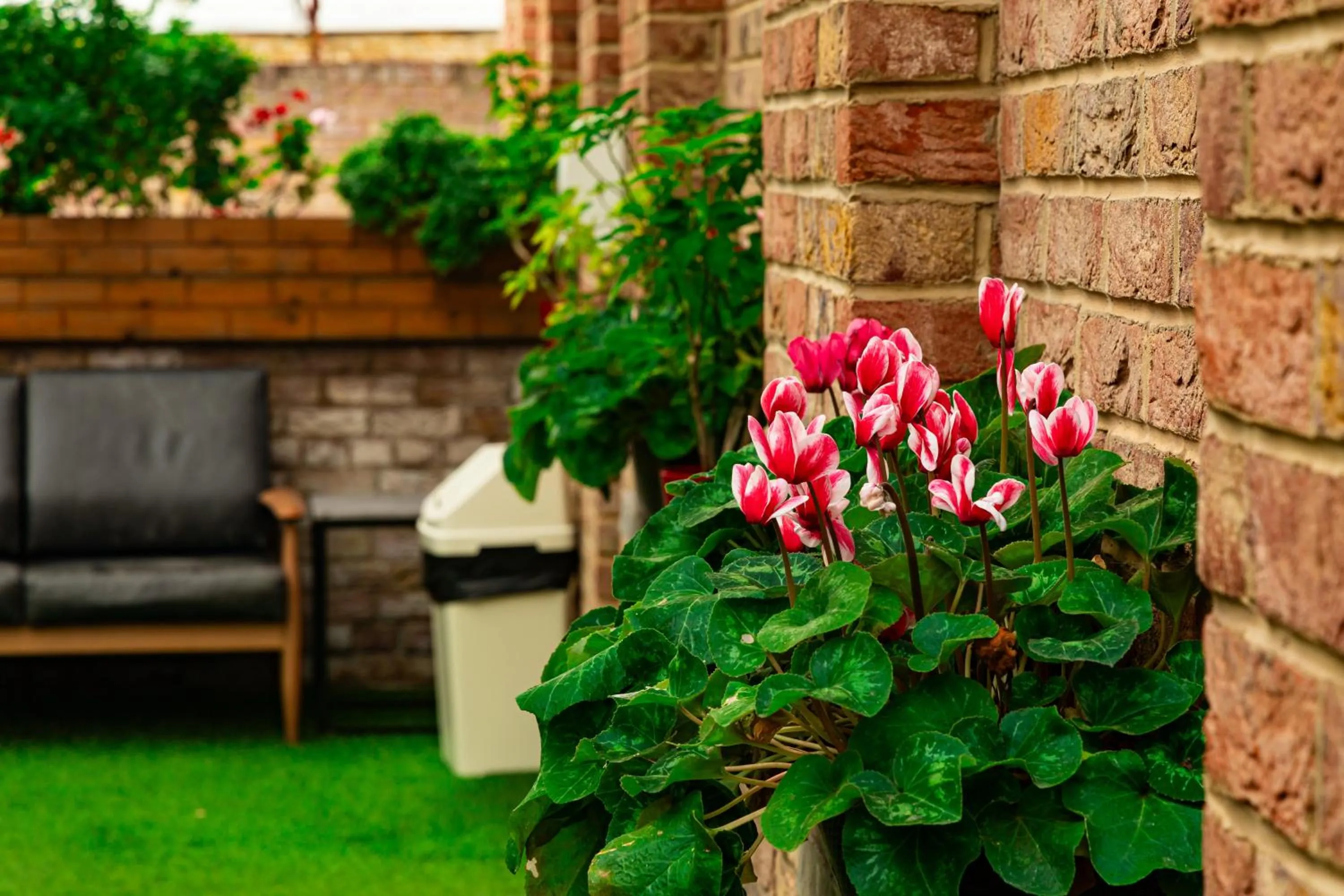 Garden in London City Airport Hotel
