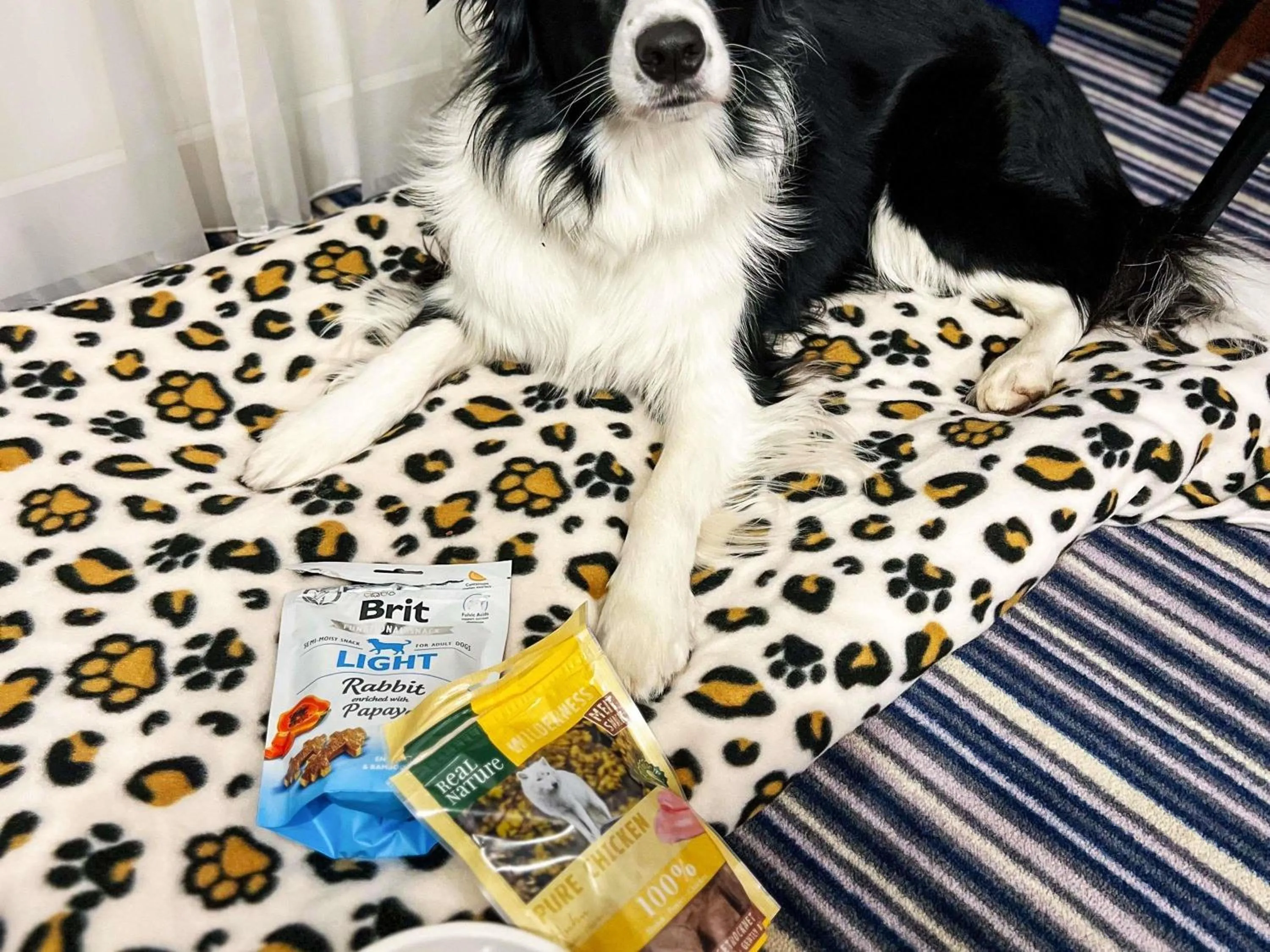 Bedroom in ibis Styles Wałbrzych