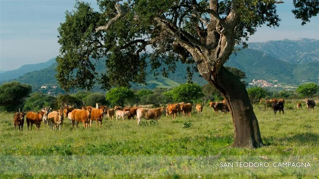 Garden in Li Teggi Turismo Rurale
