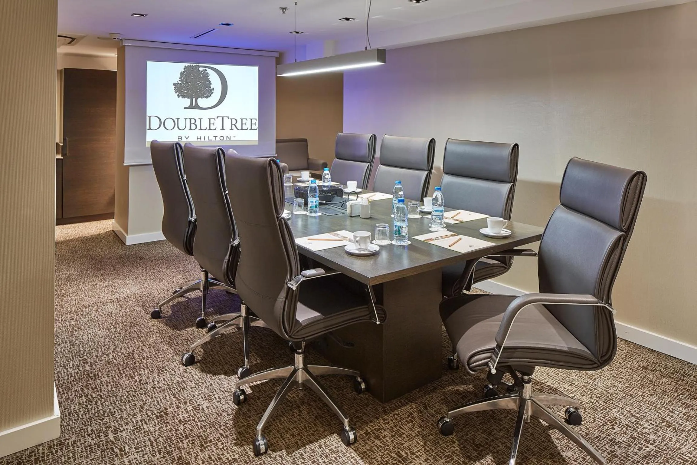 Meeting/conference room in DoubleTree by Hilton Izmir - Alsancak
