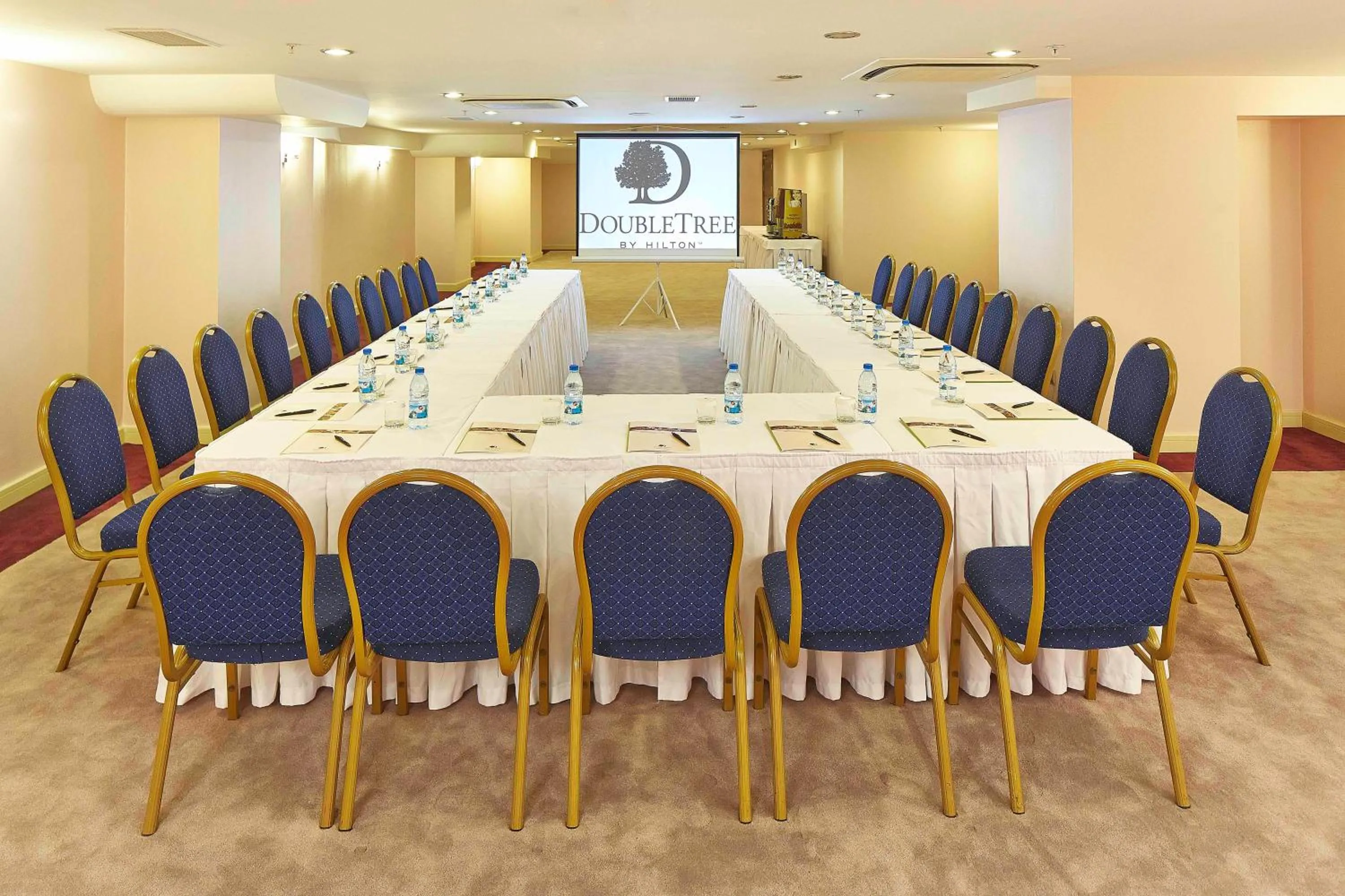 Meeting/conference room in DoubleTree by Hilton Izmir - Alsancak