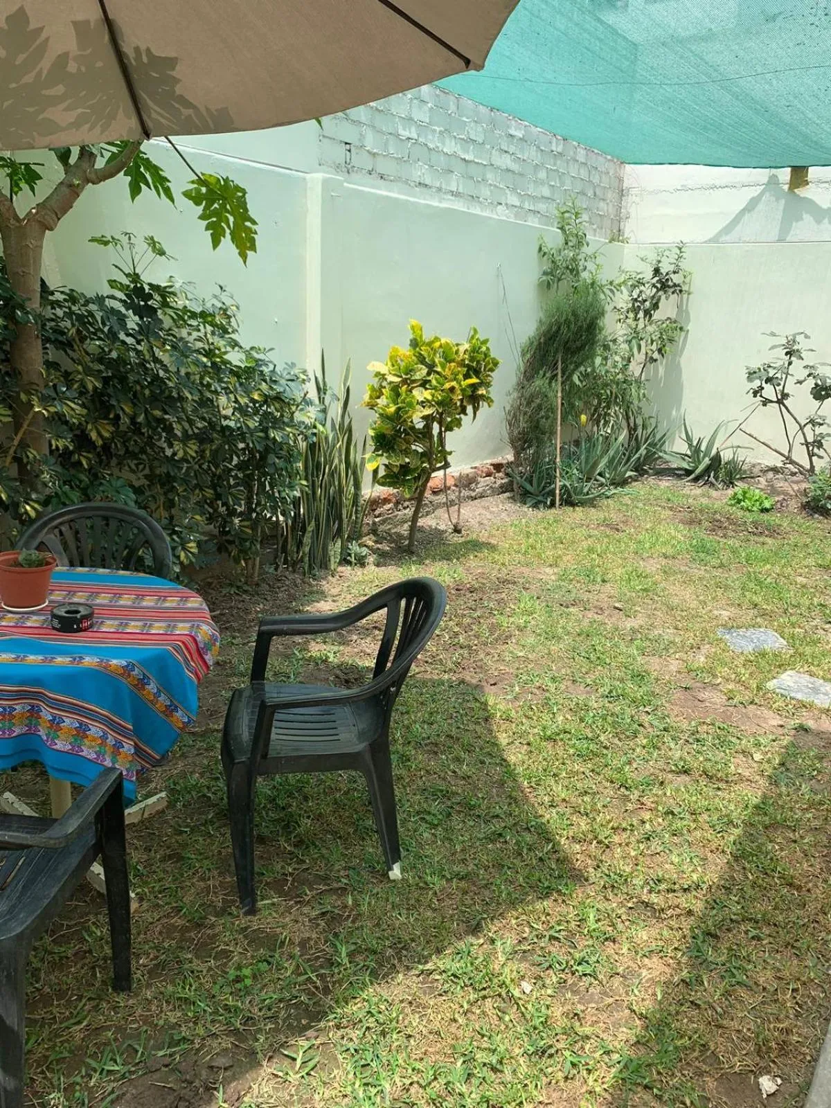 Garden in Uli´s house