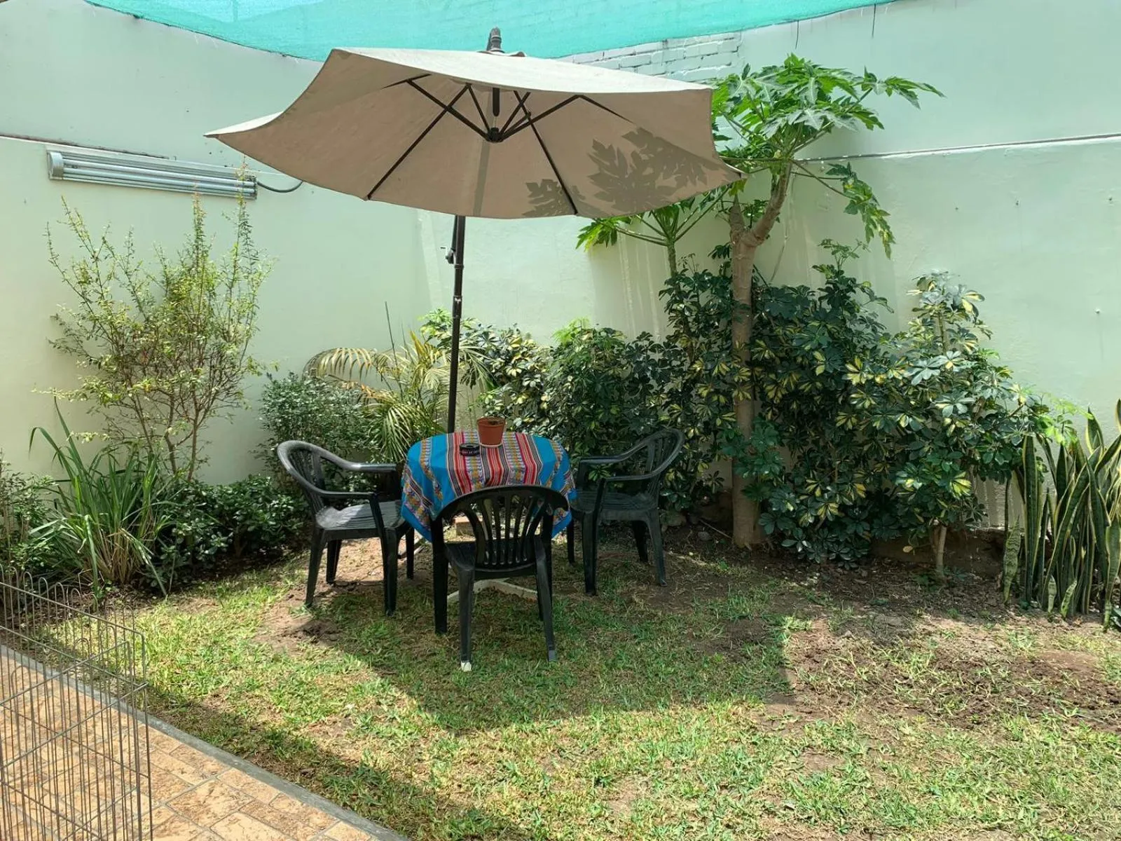 Garden in Uli´s house