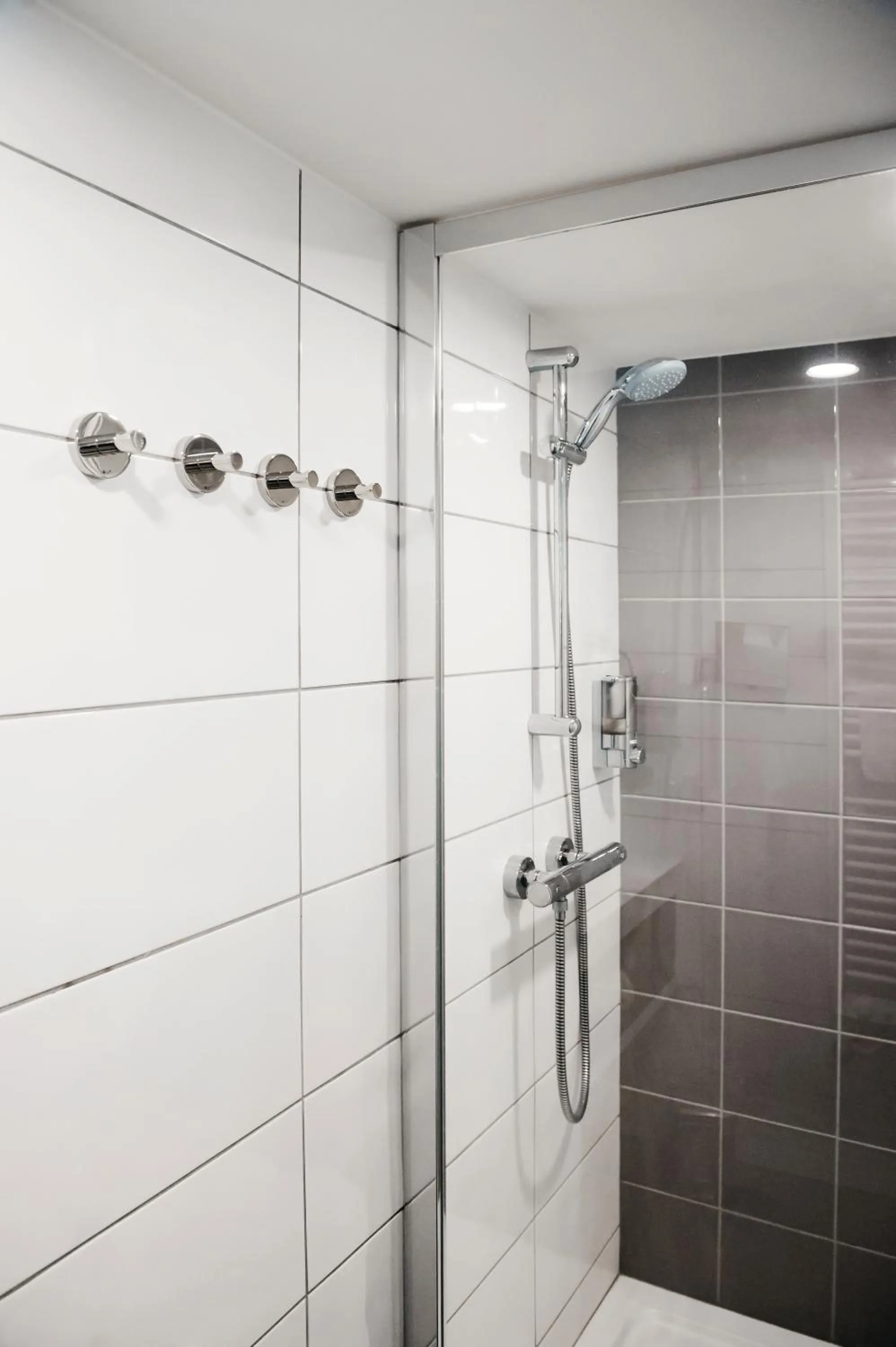 Shower in Logis Hôtel Restaurant Au Lion Rouge