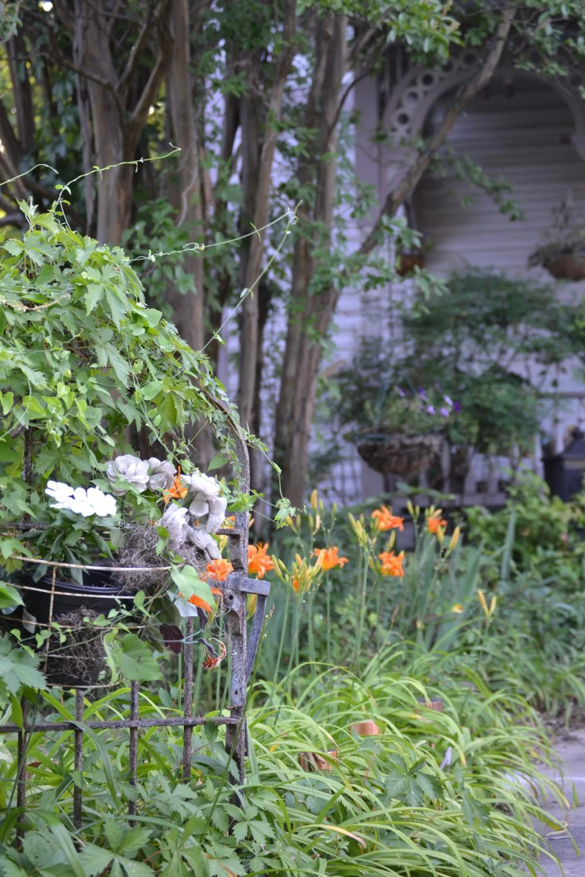 Facade/entrance in Carleton House Bed and Breakfast