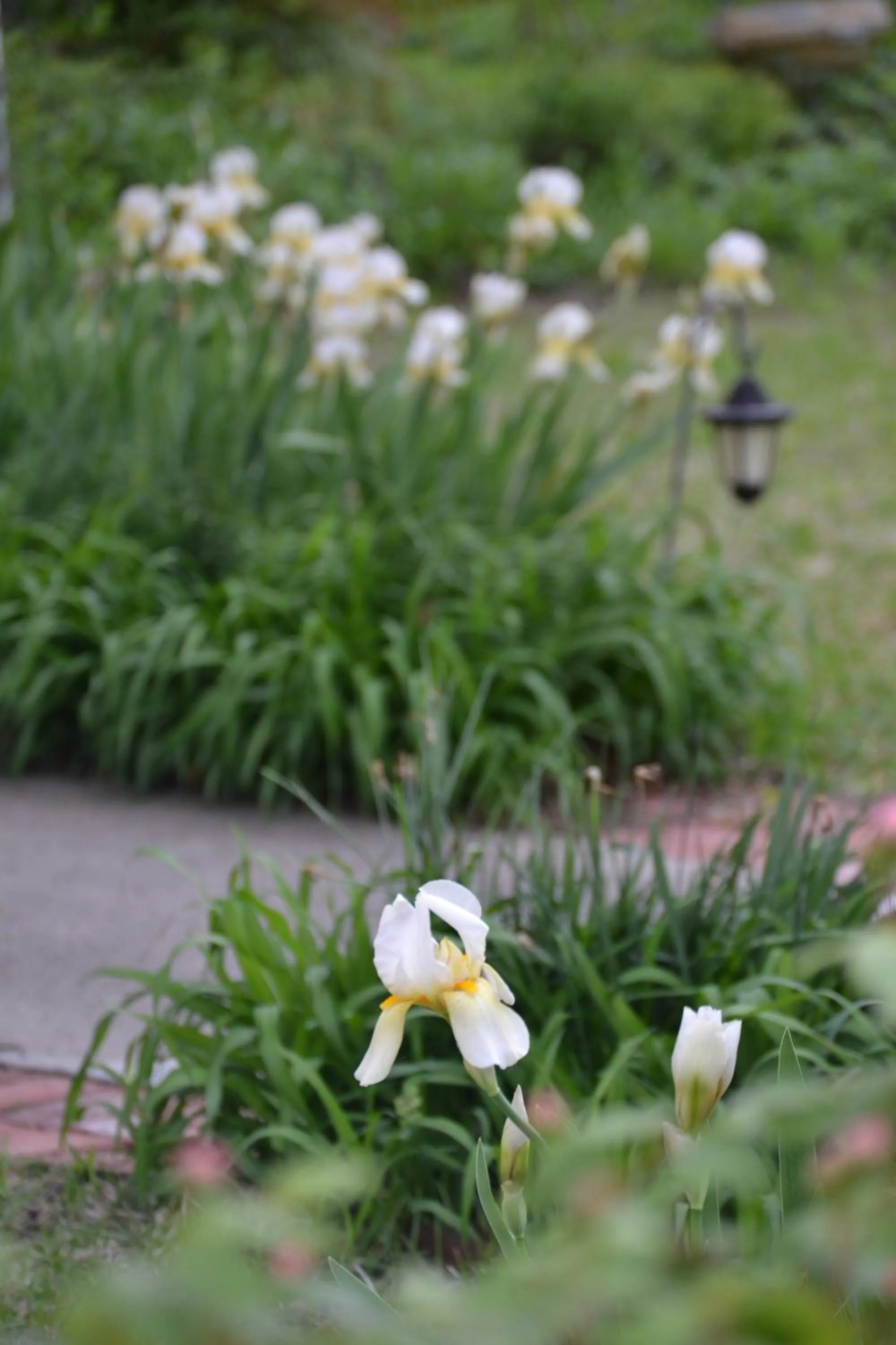 Natural landscape in Carleton House Bed and Breakfast
