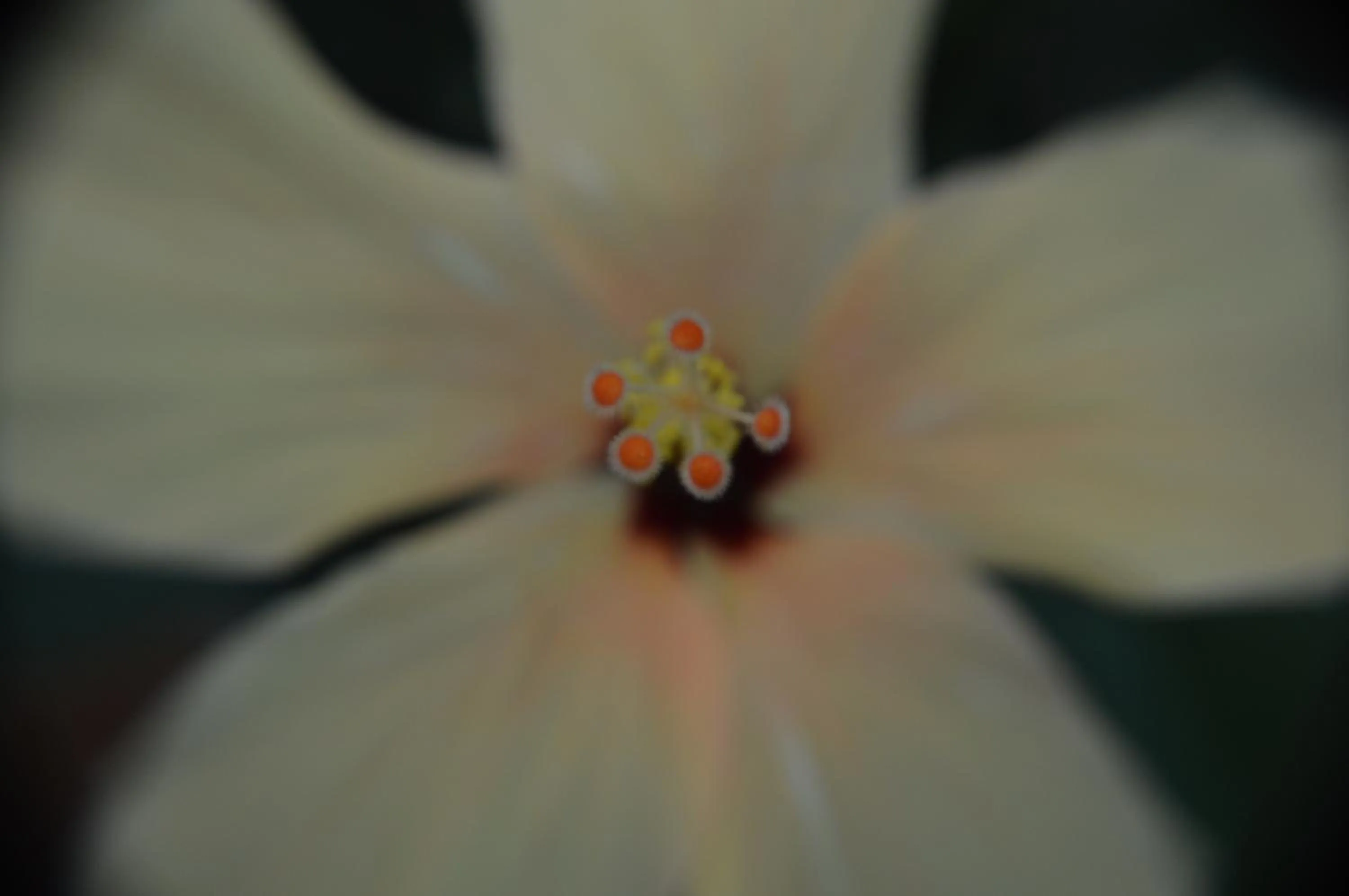 Other in Carleton House Bed and Breakfast