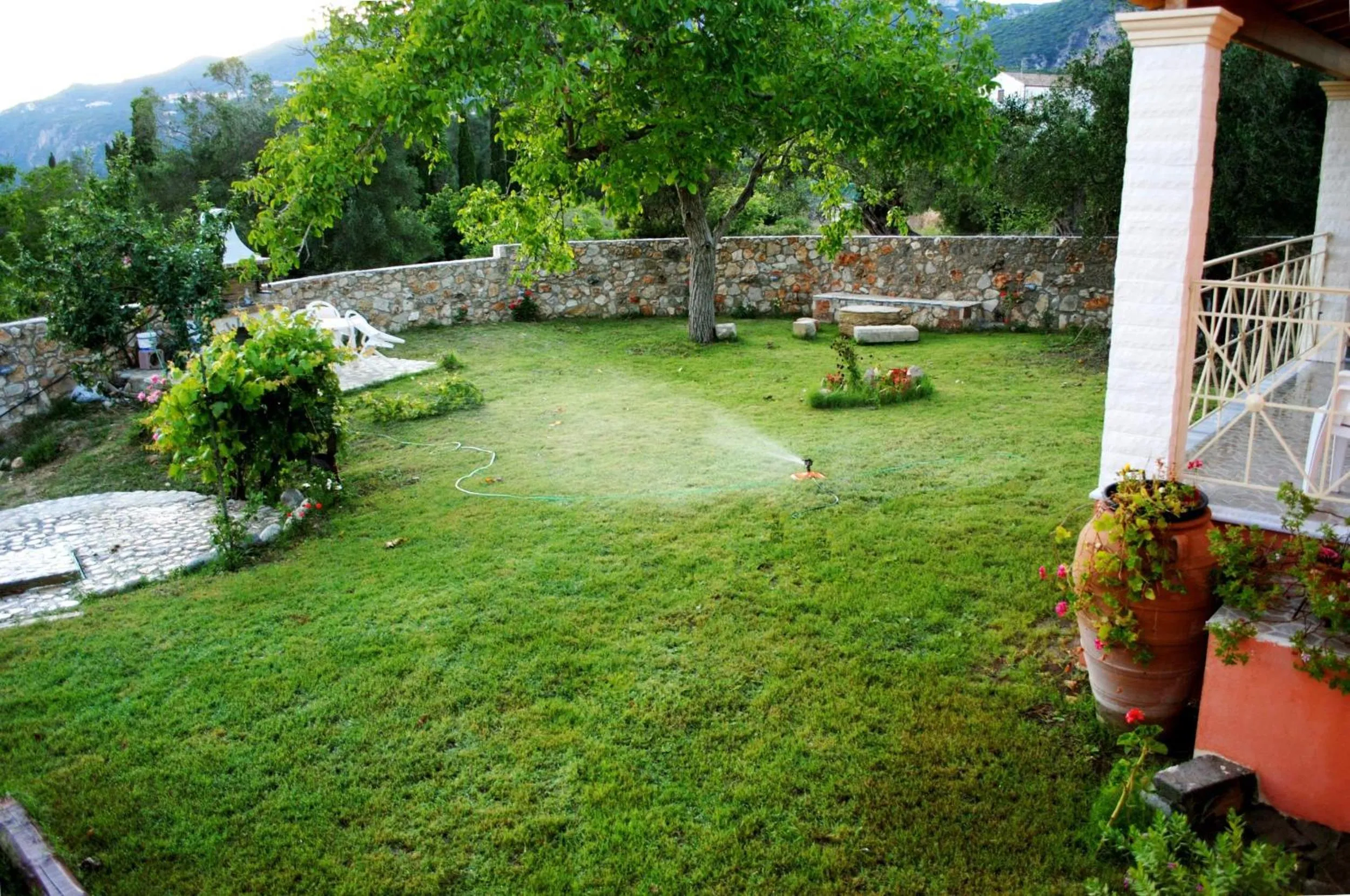 Garden view in Villa Grecia
