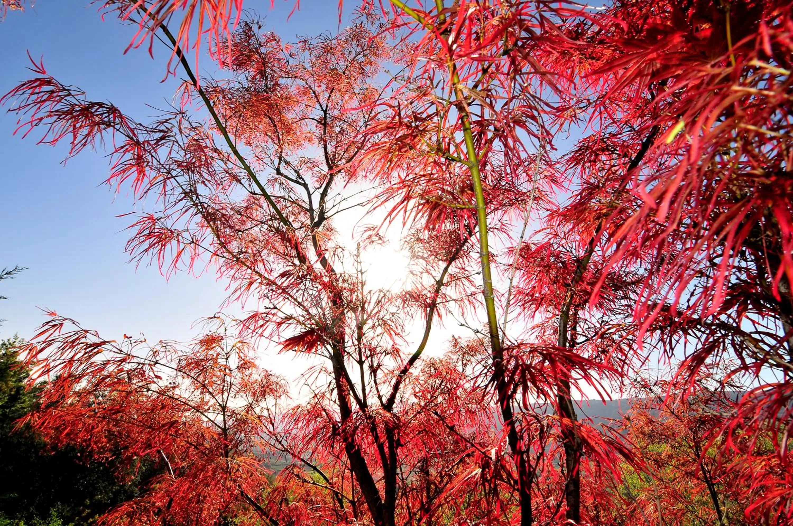 Area and facilities in Pousada Convento de Belmonte