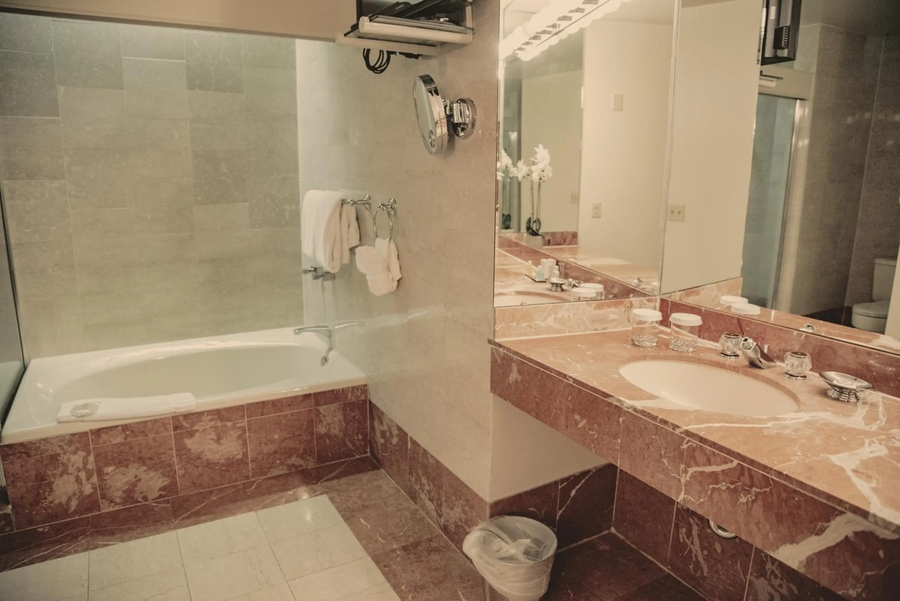 Bathroom in Haywood Park Hotel, an Ascend Collection Hotel