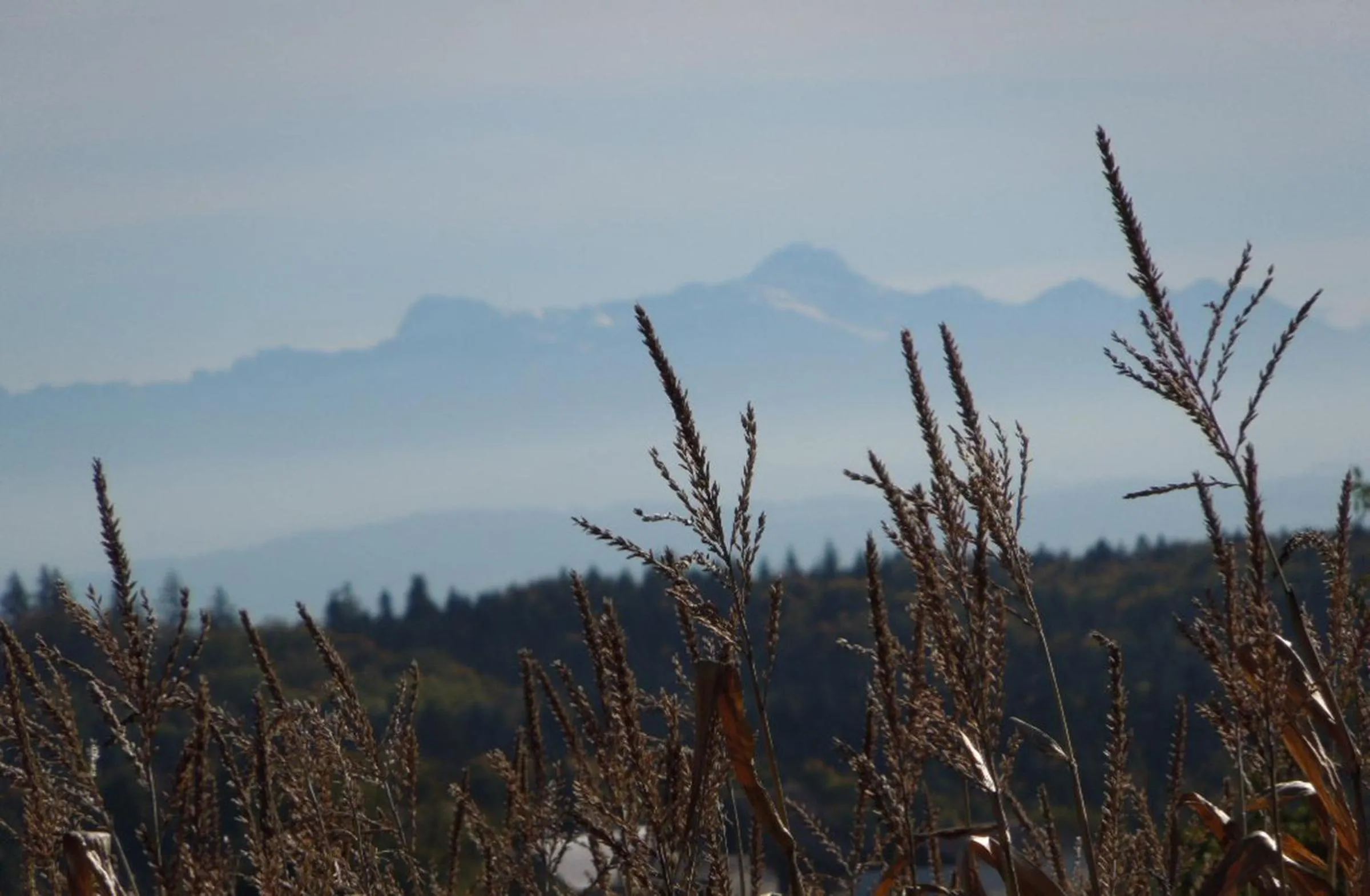 Natural landscape in Landhotel Schellenberg
