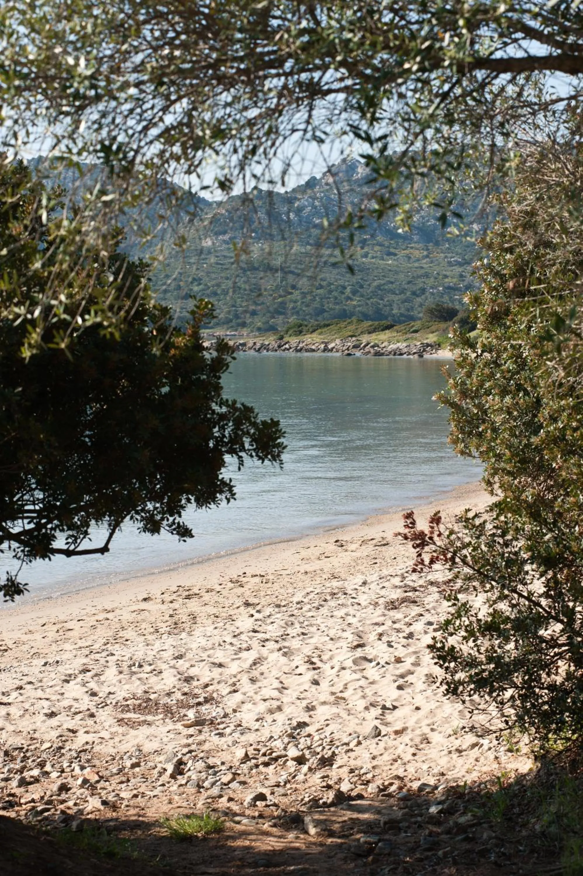 Beach in Le Ville Le Saline
