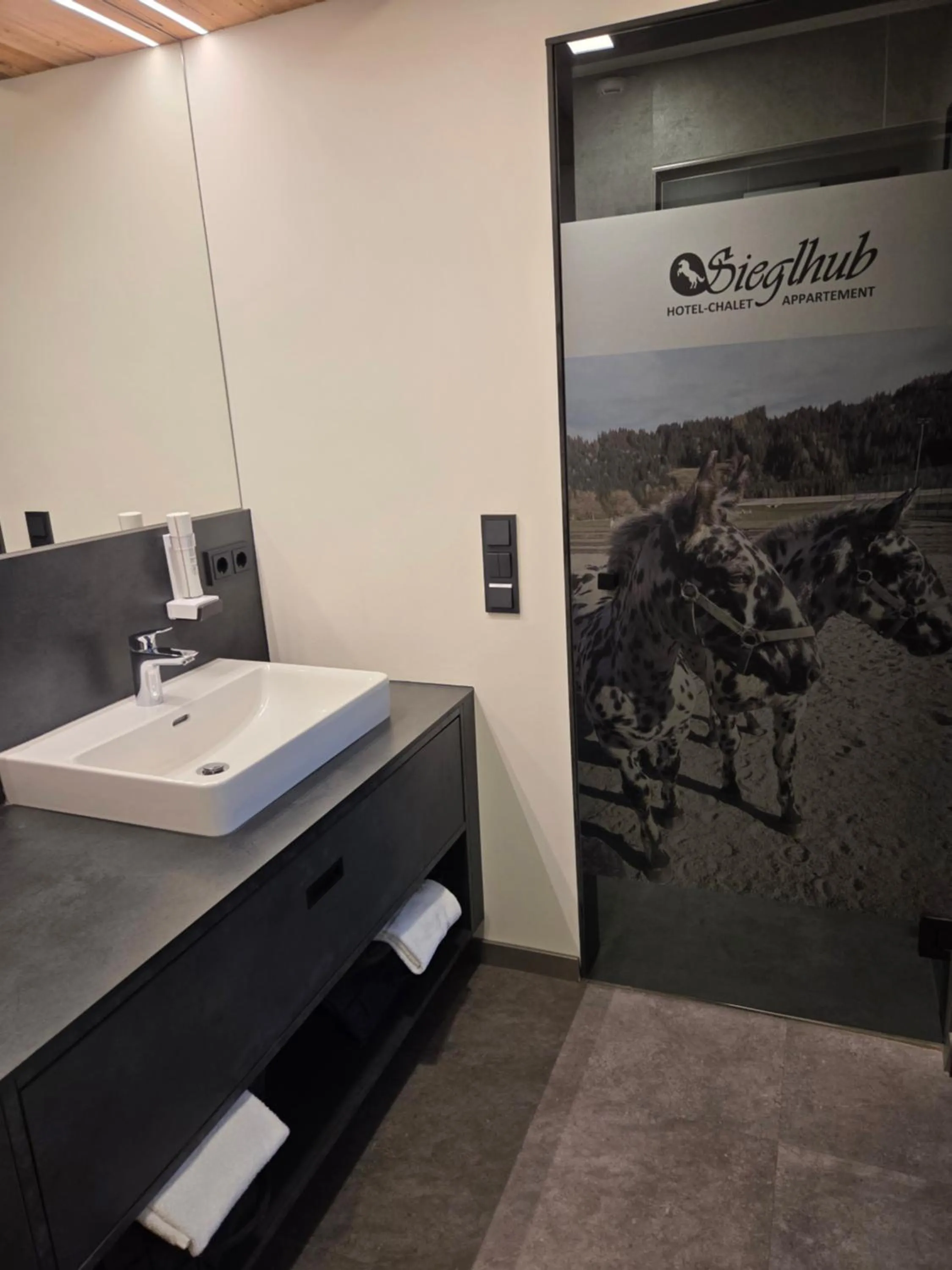 Bathroom in Sieglhub Chalets - Appartements - Hotel