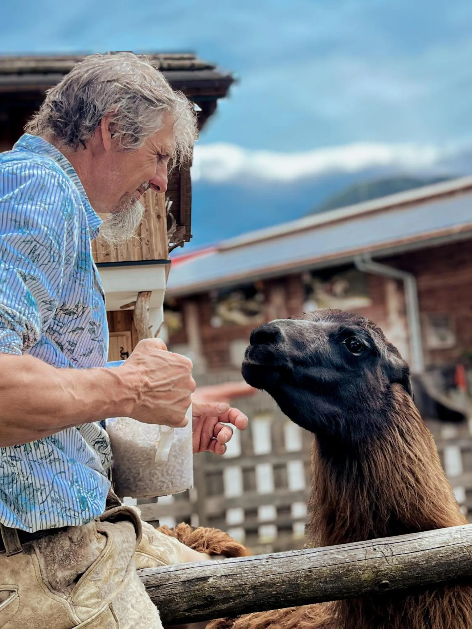 Sieglhub Chalets - Appartements - Hotel