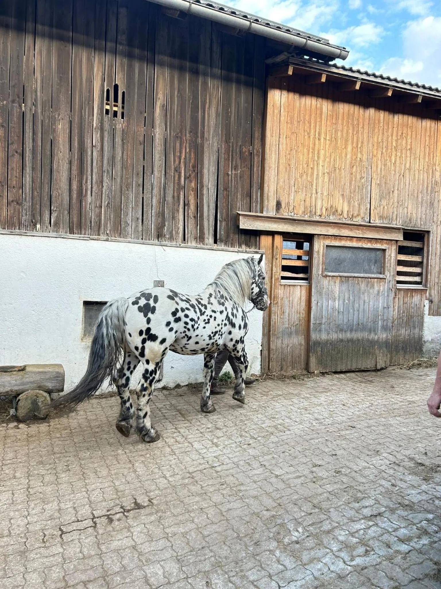 Sieglhub Chalets - Appartements - Hotel