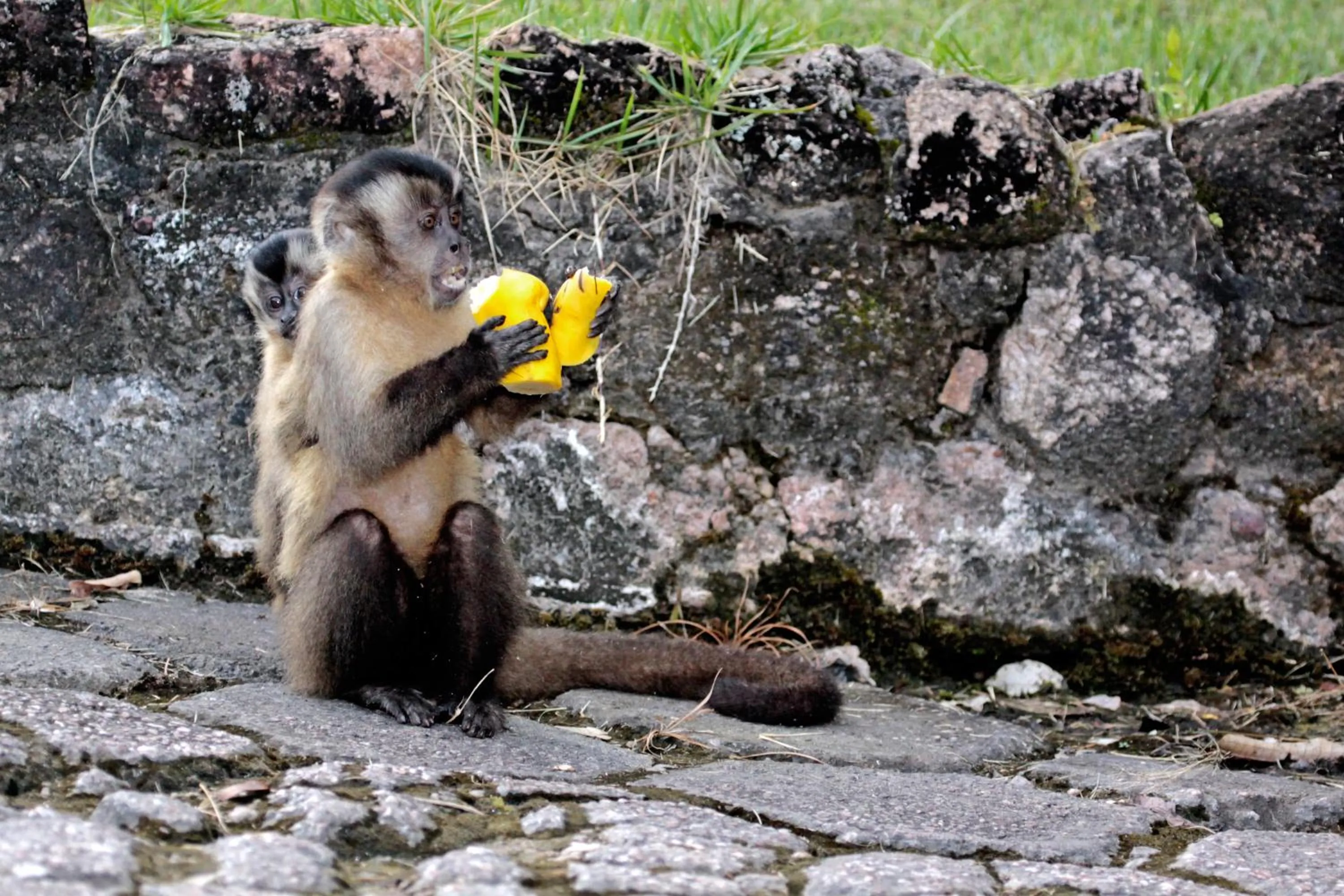 Day in Hotel Mato Grosso Águas Quentes