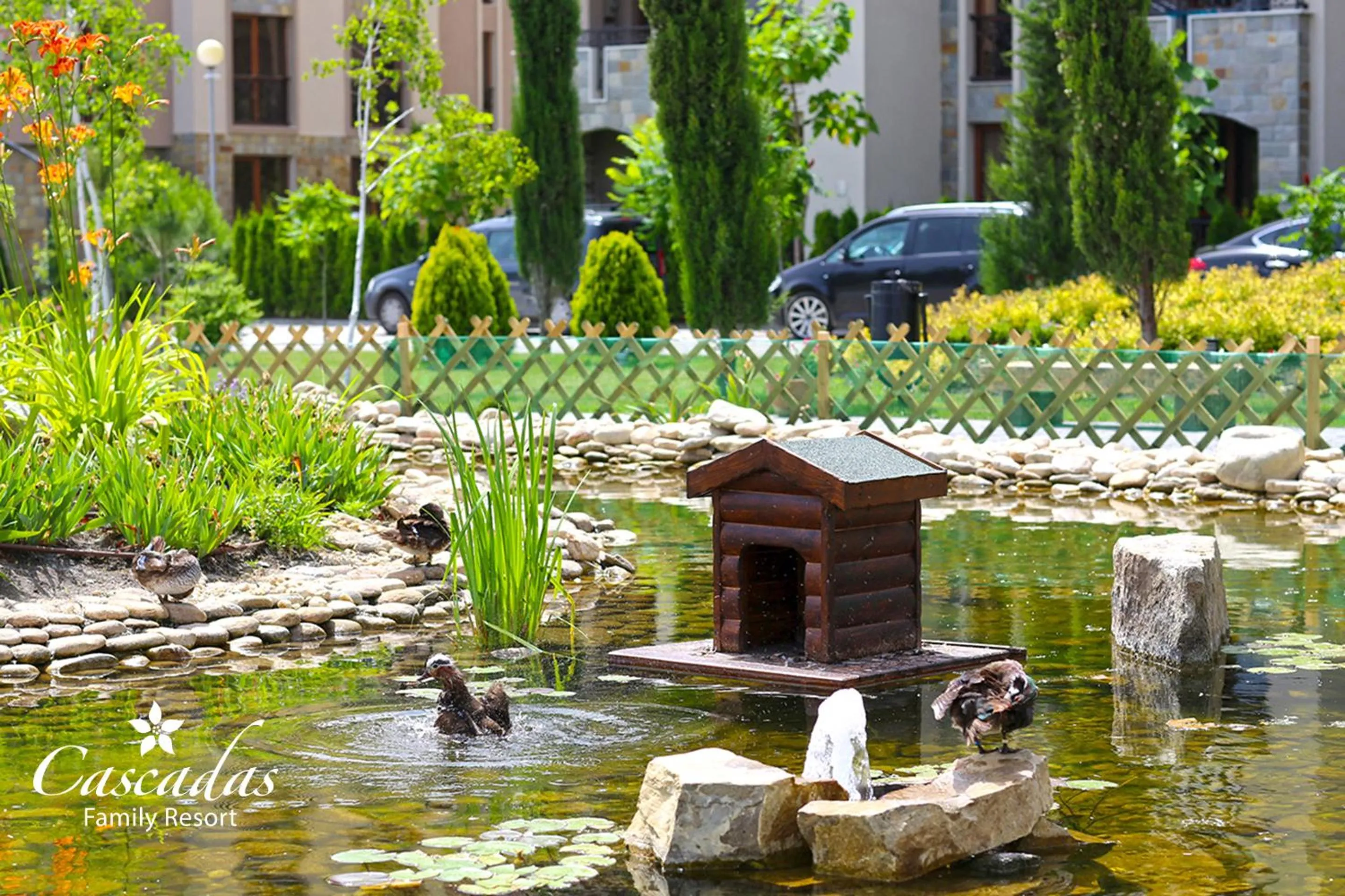 Garden in Cascadas Family Resort