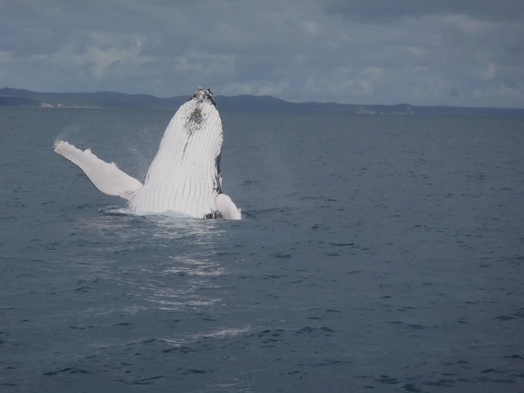 Winter in Urangan Motor Inn