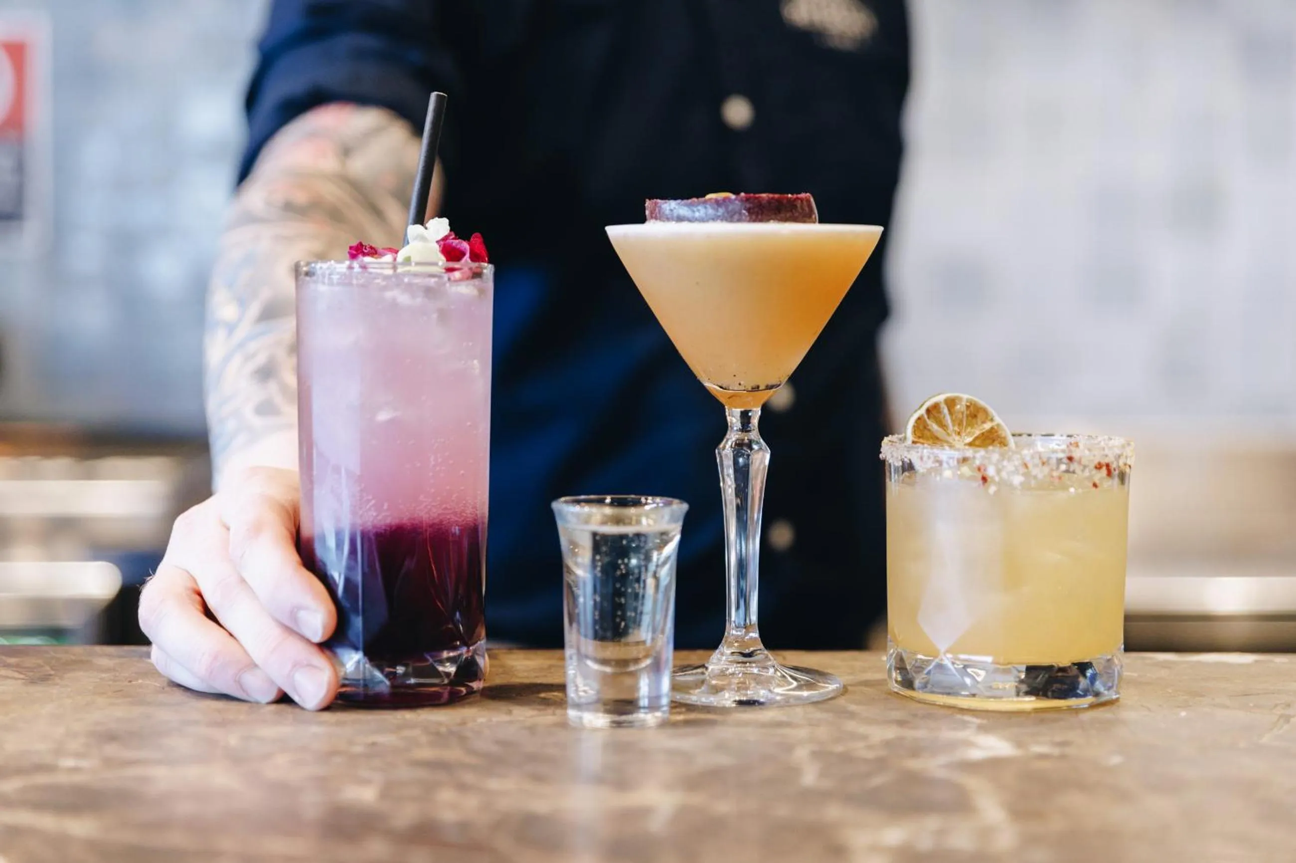 Lounge or bar in Banjo Paterson Inn