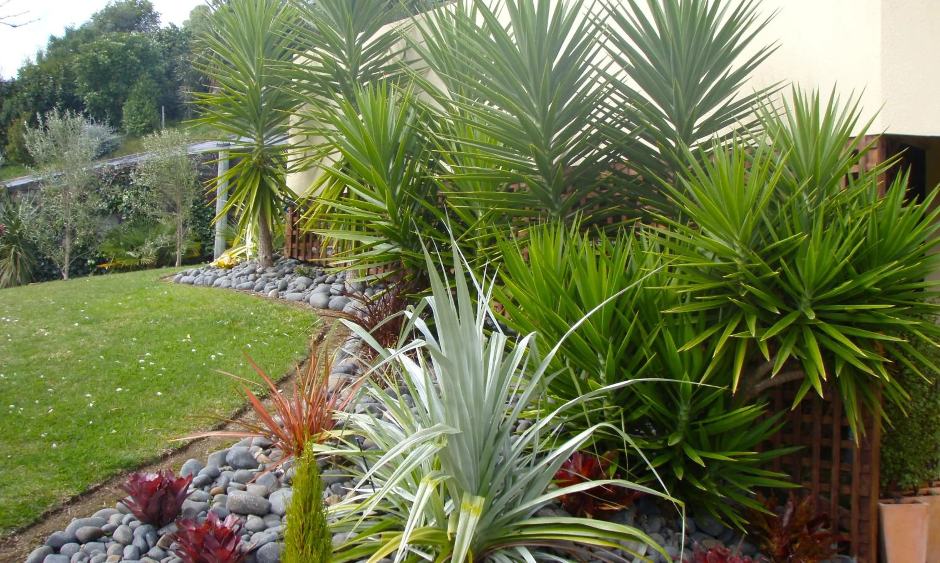 Garden in Seascape Villa B&B