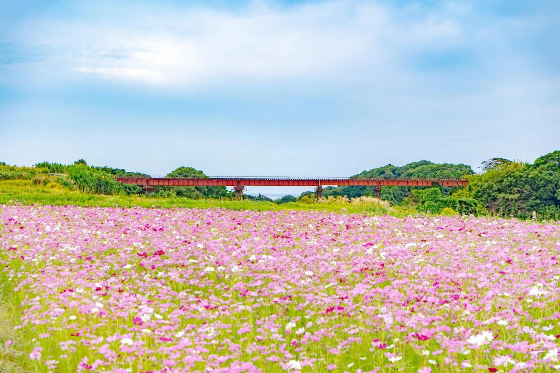 Nearby landmark in Family Ryokan Kawakyu with Showa Retro, private hot spring