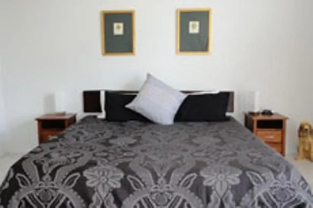 Bed in Daintree Wild Bed & Breakfast