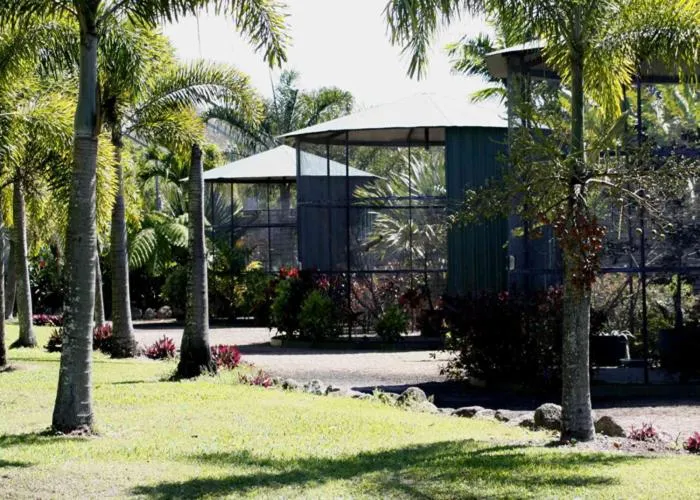 Area and facilities in Daintree Wild Bed & Breakfast