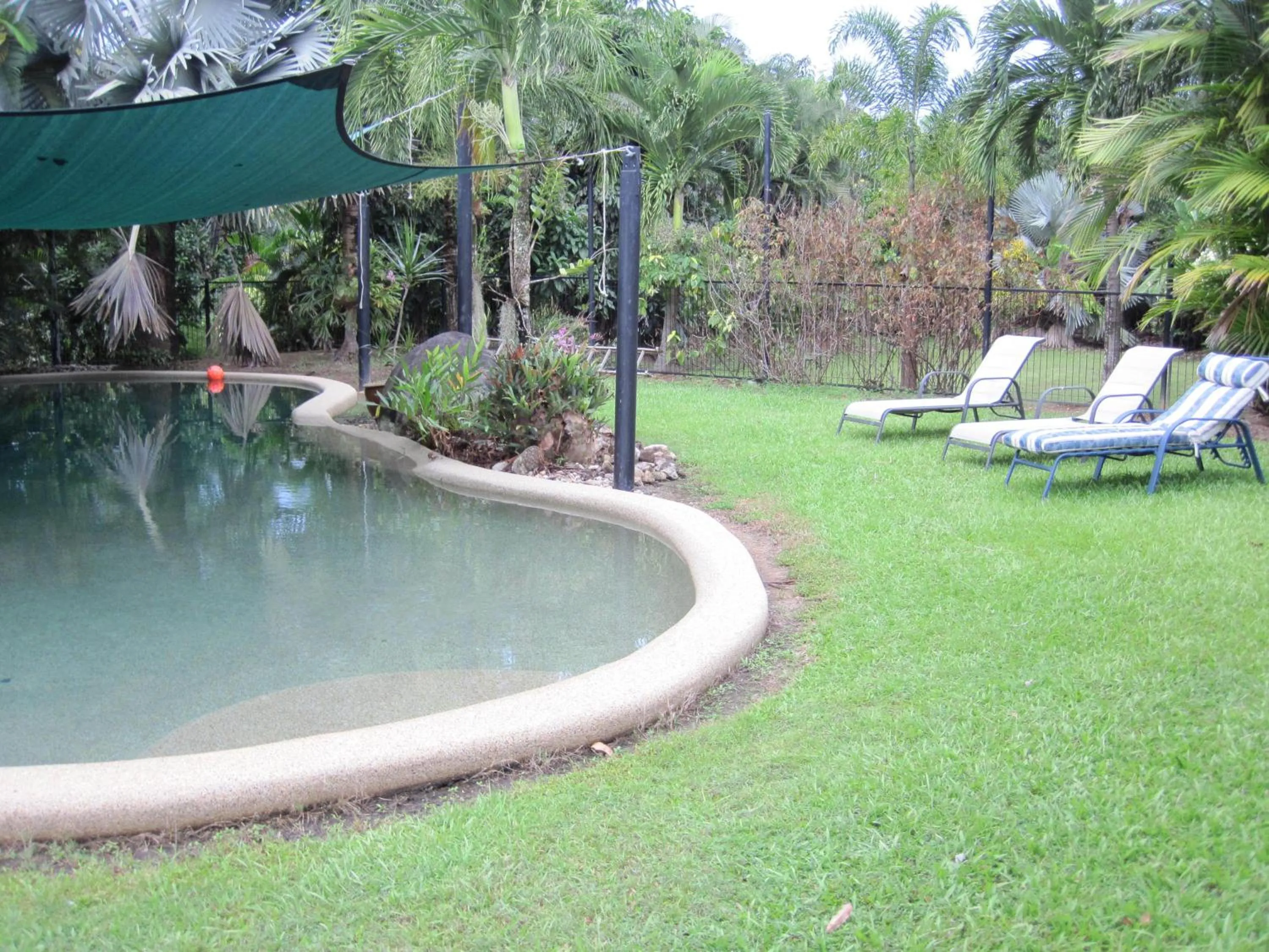 Swimming pool in Daintree Wild Bed & Breakfast