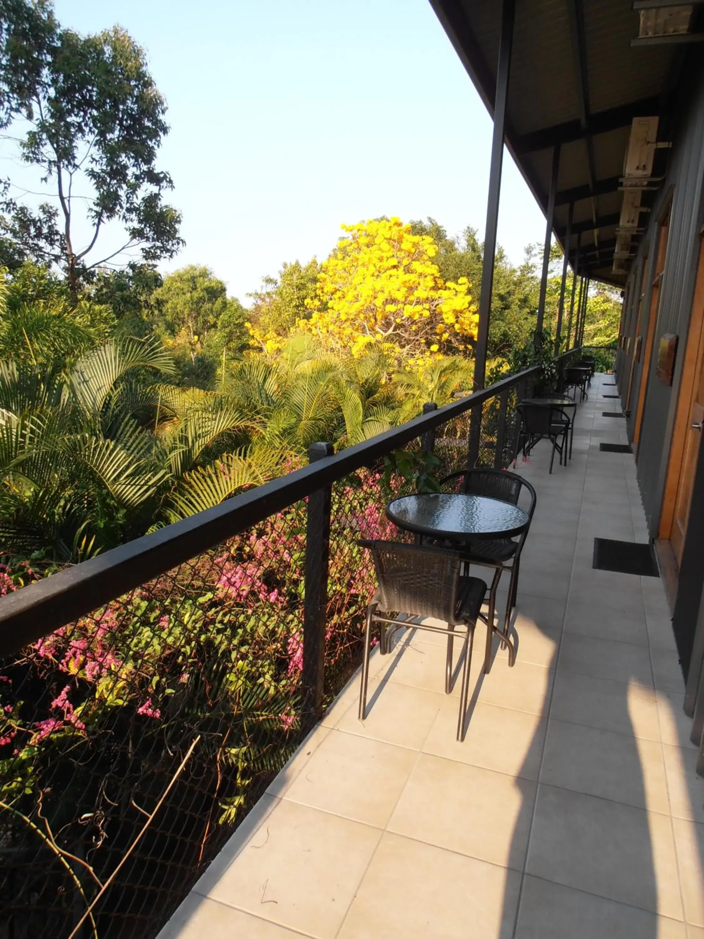 Parrot Aviary Room with Ensuite in Daintree Wild Bed & Breakfast Parrot Aviary Room with Ensuite in Daintree Wild Bed & Breakfast