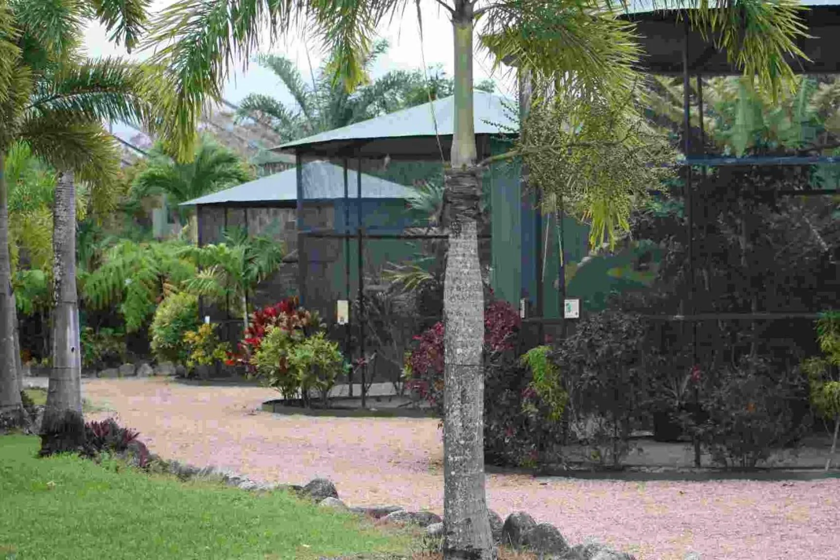 Area and facilities in Daintree Wild Bed & Breakfast