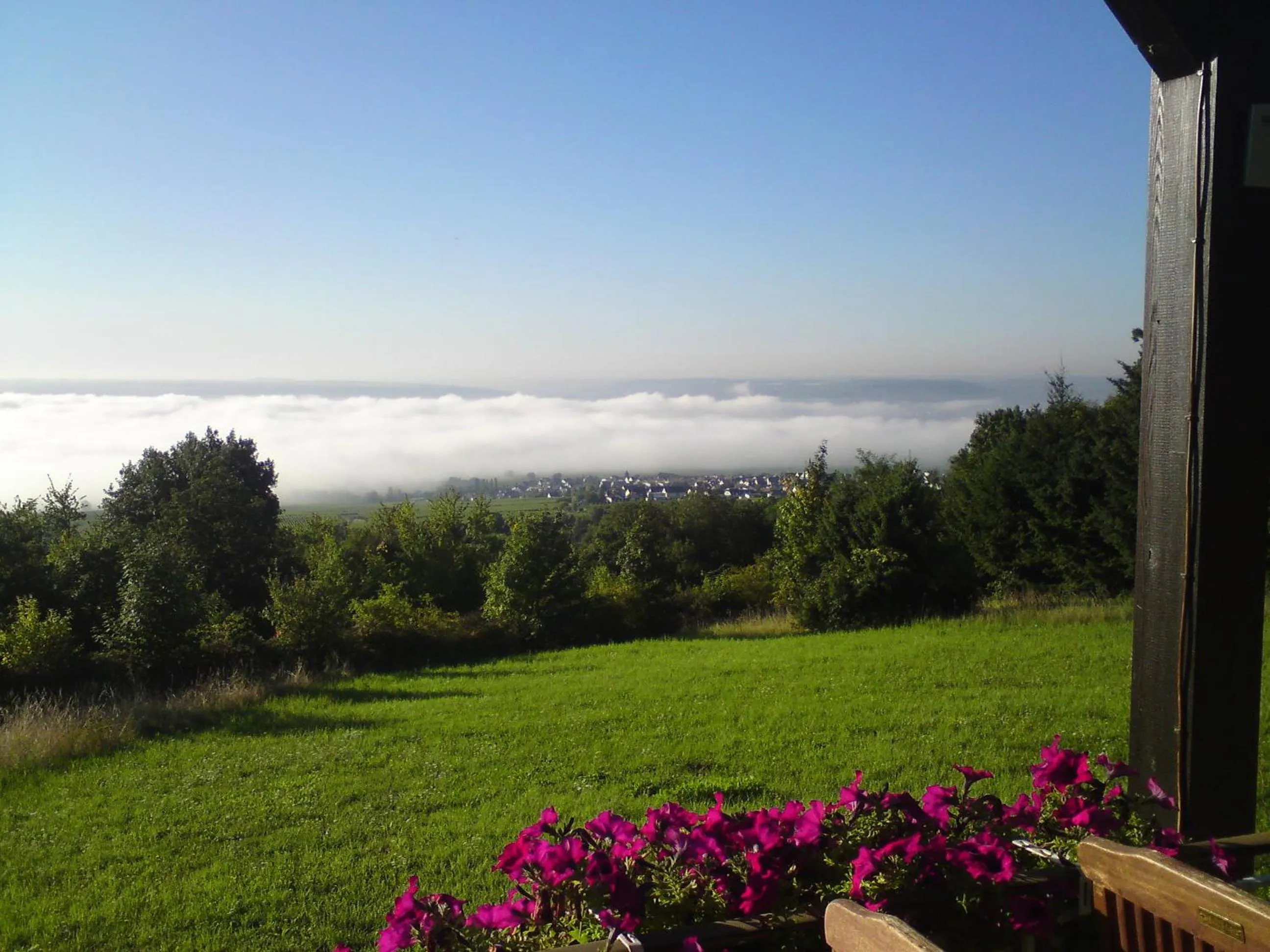 Day in Zum Rebhang Bed & Breakfast