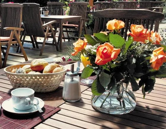 Lounge or bar in Zum Rebhang Bed & Breakfast