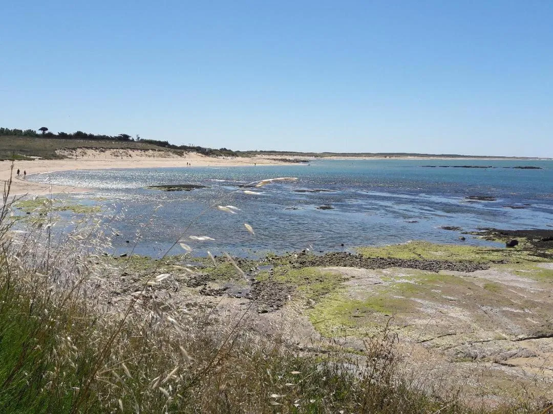 Natural landscape in Le Temps d'une Pause